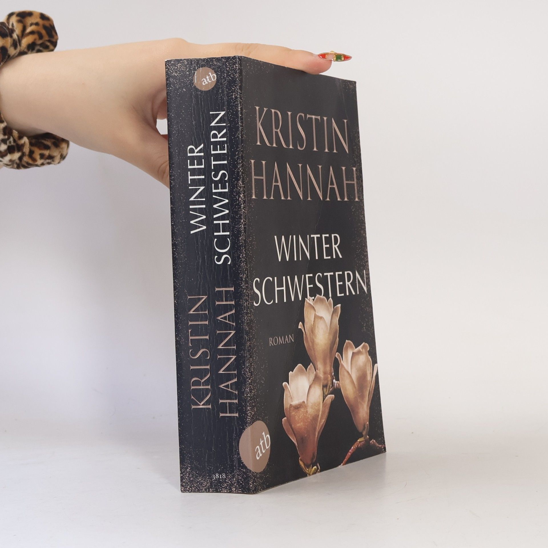Kristin Hannah Winterschwestern