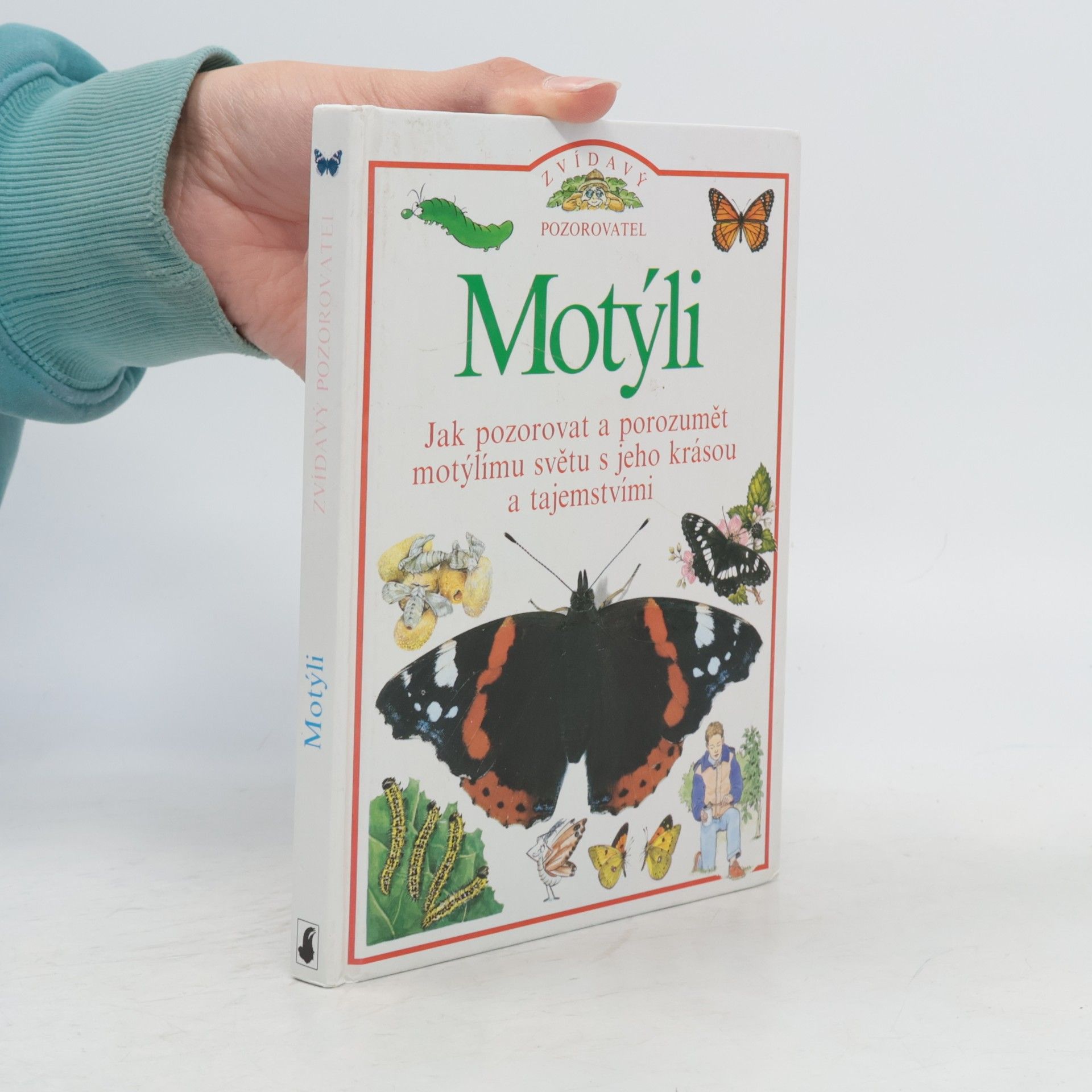 Autorenkollektiv Motýli