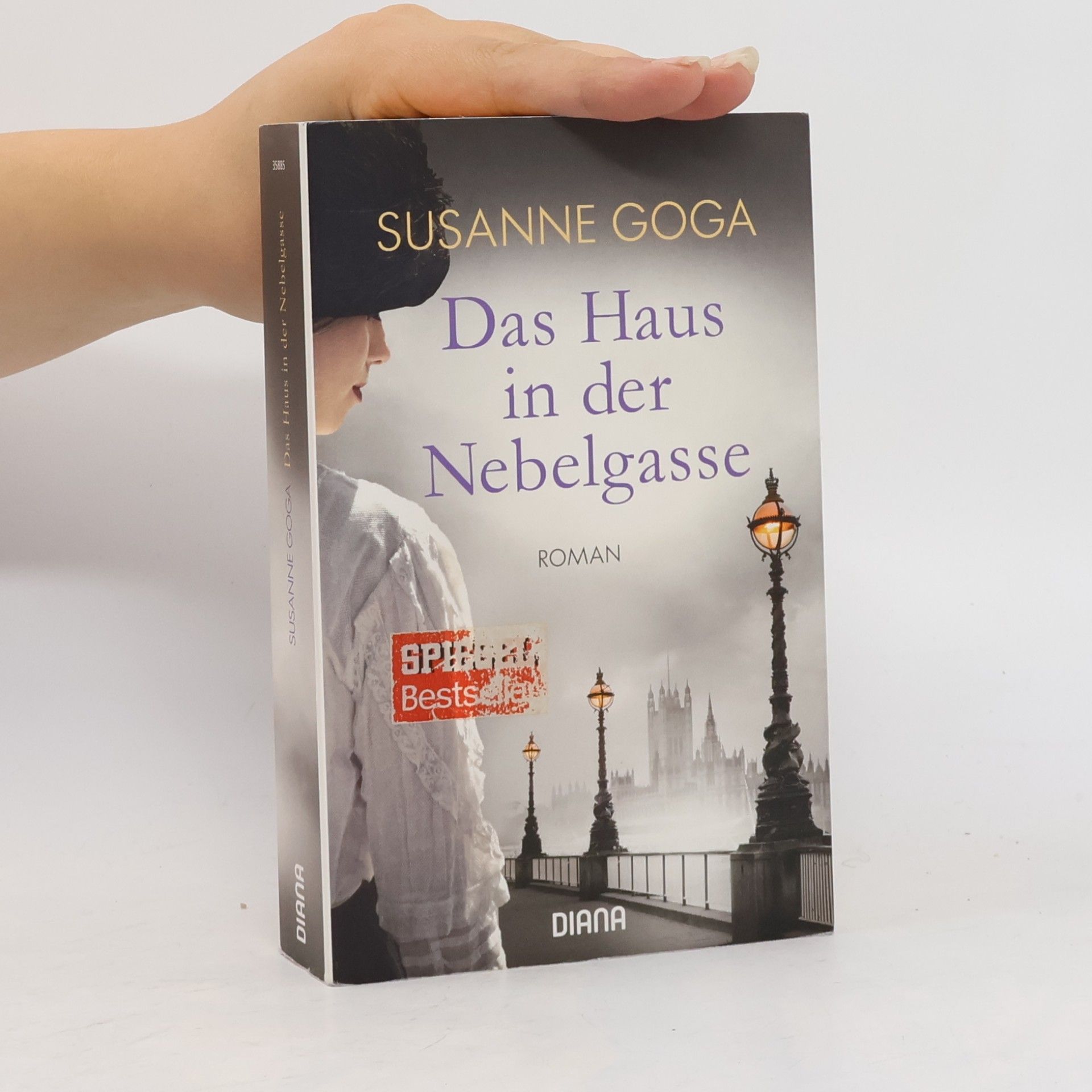Susanne Goga Das Haus in der Nebelgasse