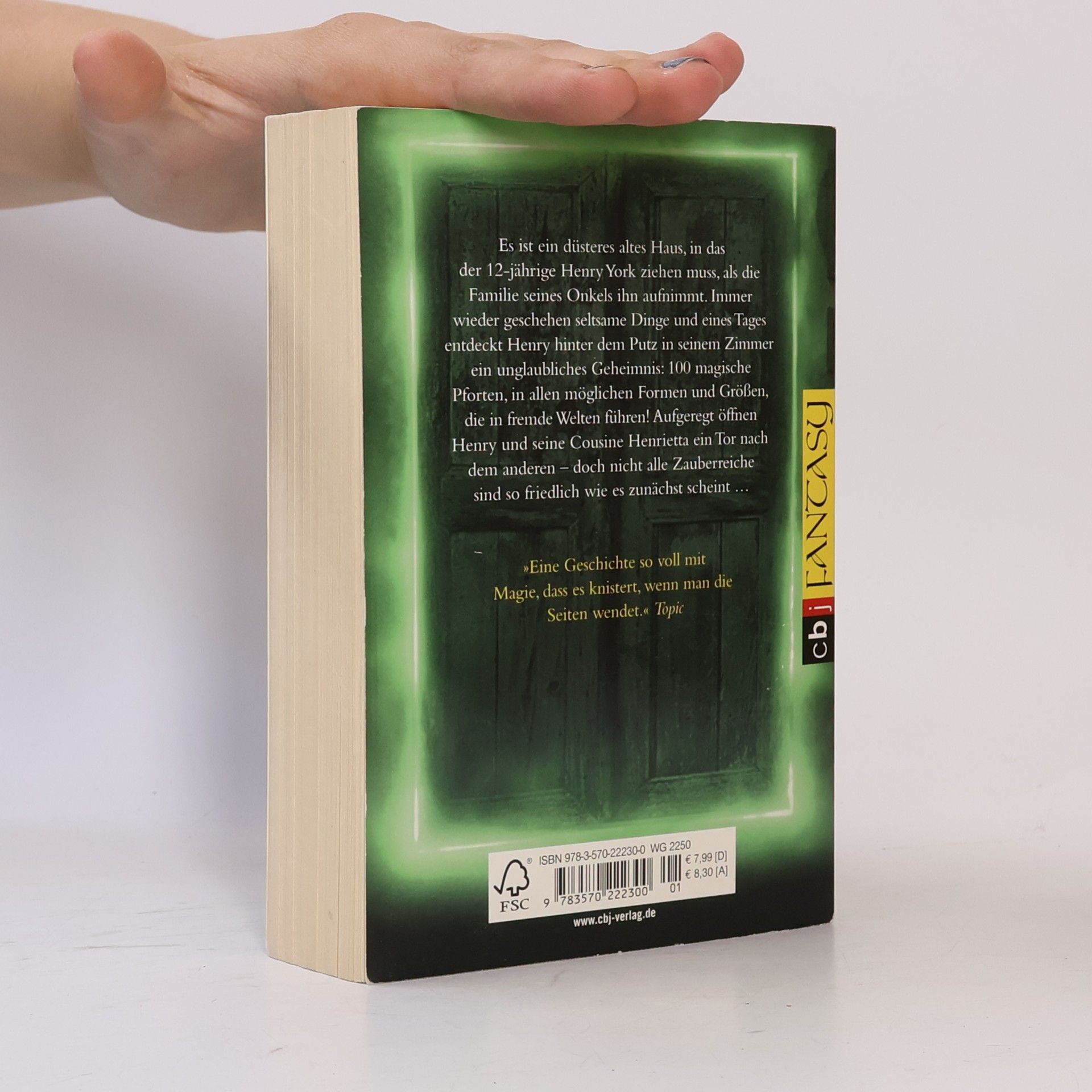 N. D. Wilson Das Geheimnis der 100 Pforten