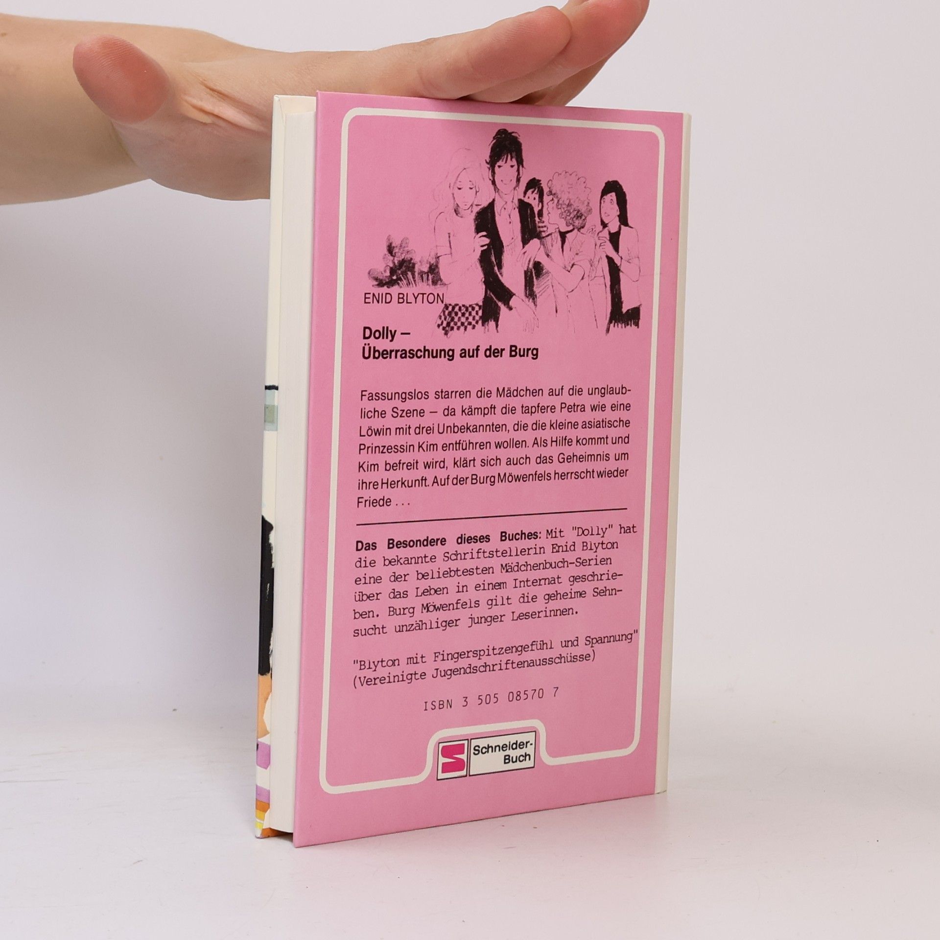 Enid Blyton Dolly 13. Überraschung auf der Burg