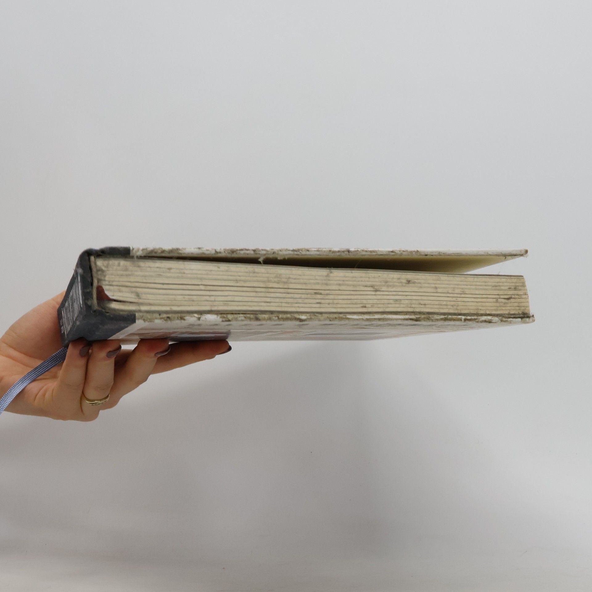 Tim Mälzer Zwei Köche ein Buch
