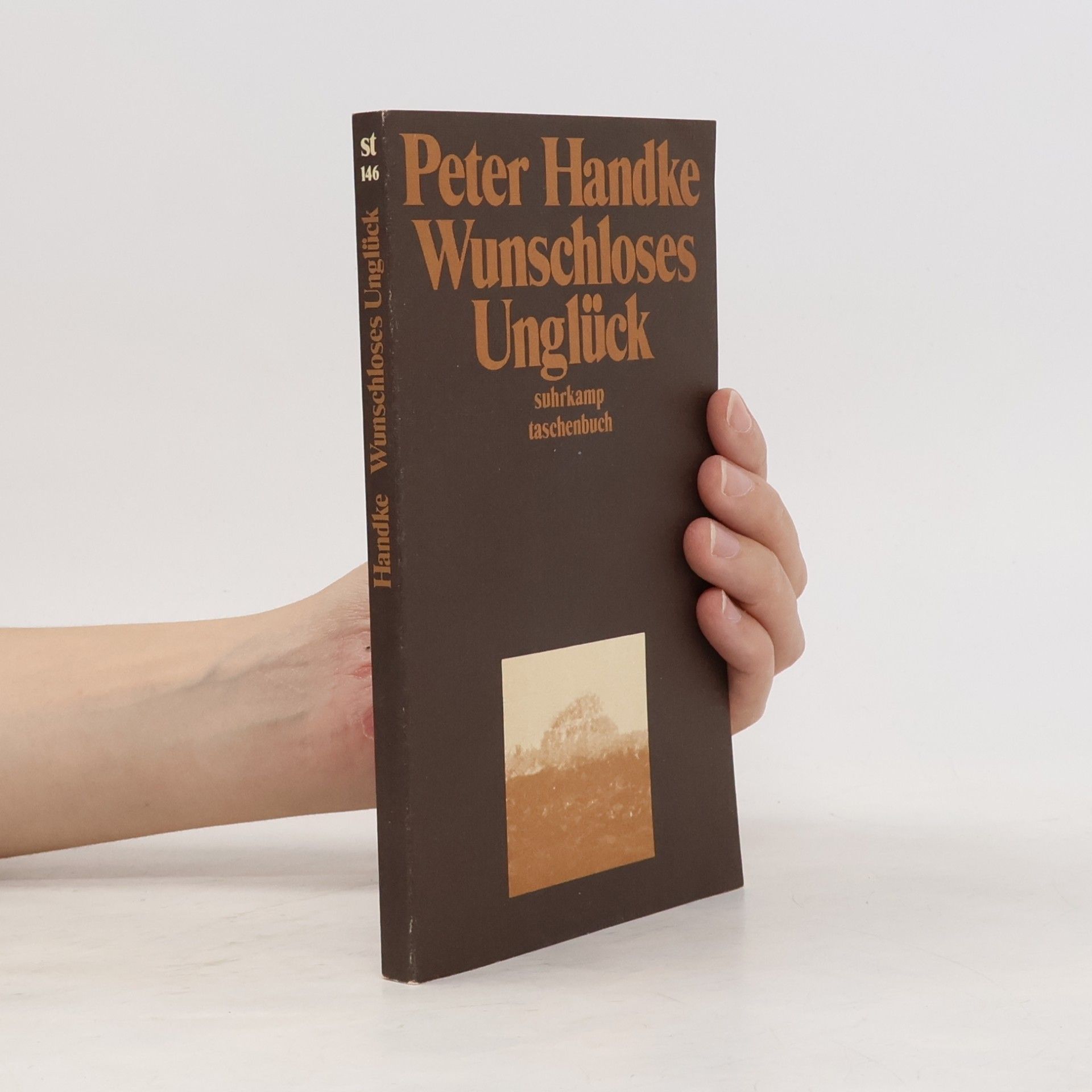 Peter Handke Wunschloses Unglück: Erzählung