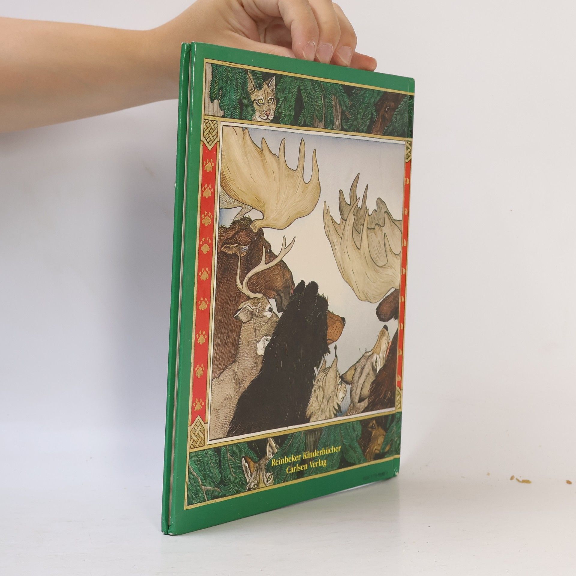 Jan Brett Anna und die wilden Tiere