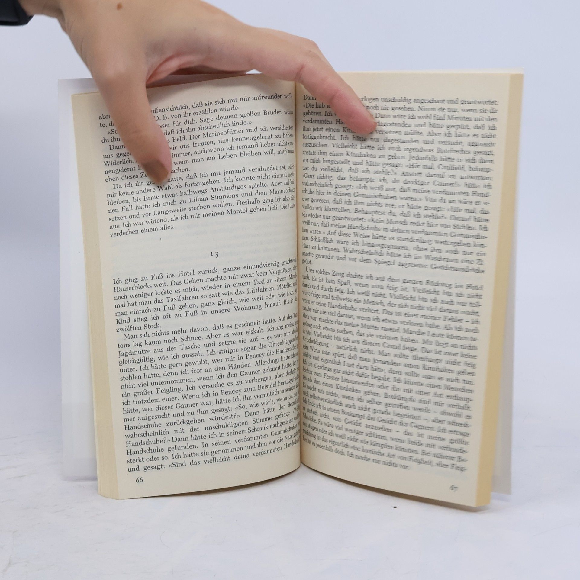 J. D. Salinger Der Fänger im Roggen