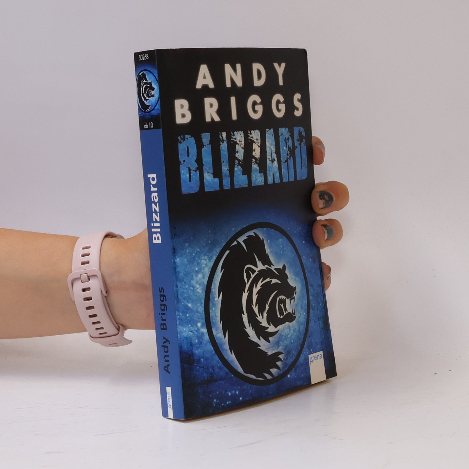 Andy Briggs Blizzard