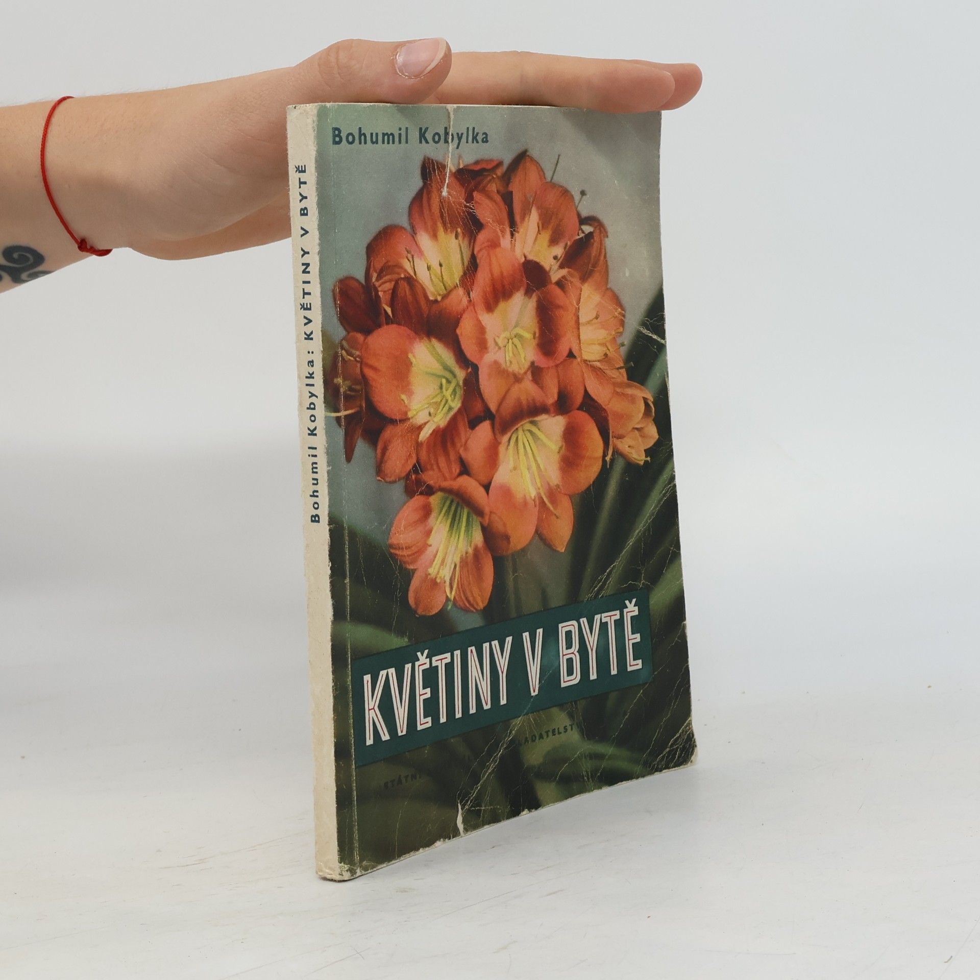 Bohumil Kobylka Květiny v bytě