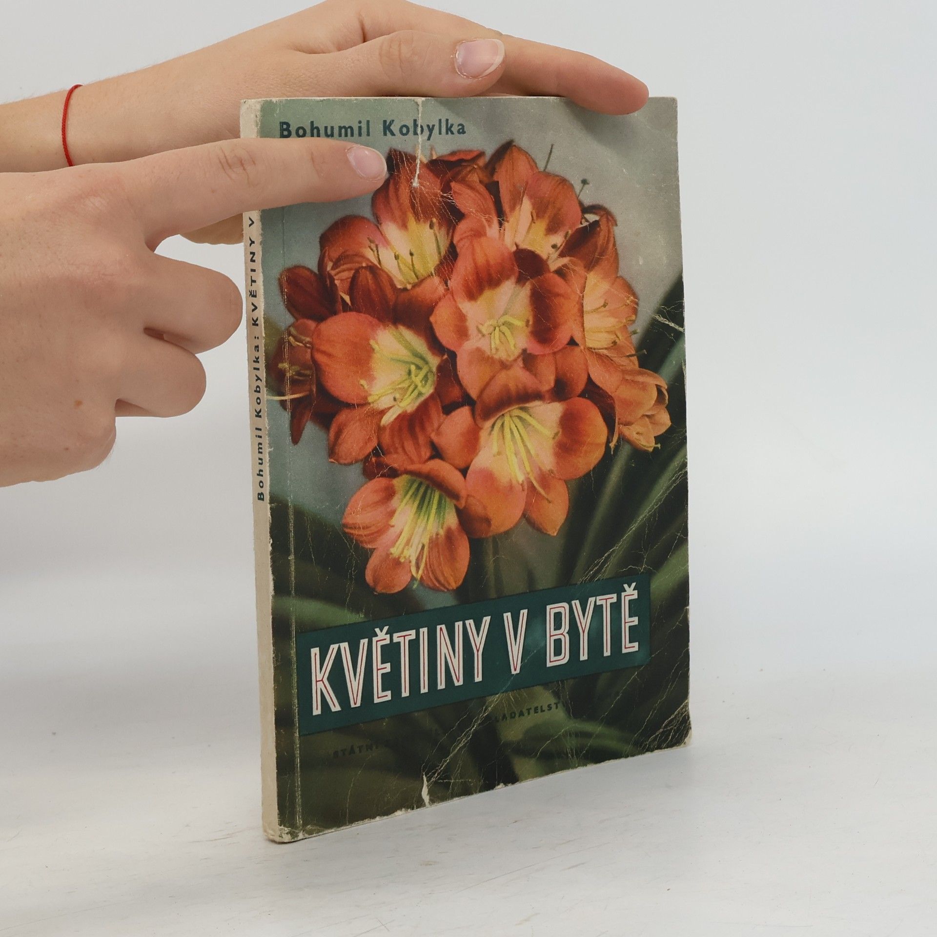Bohumil Kobylka Květiny v bytě