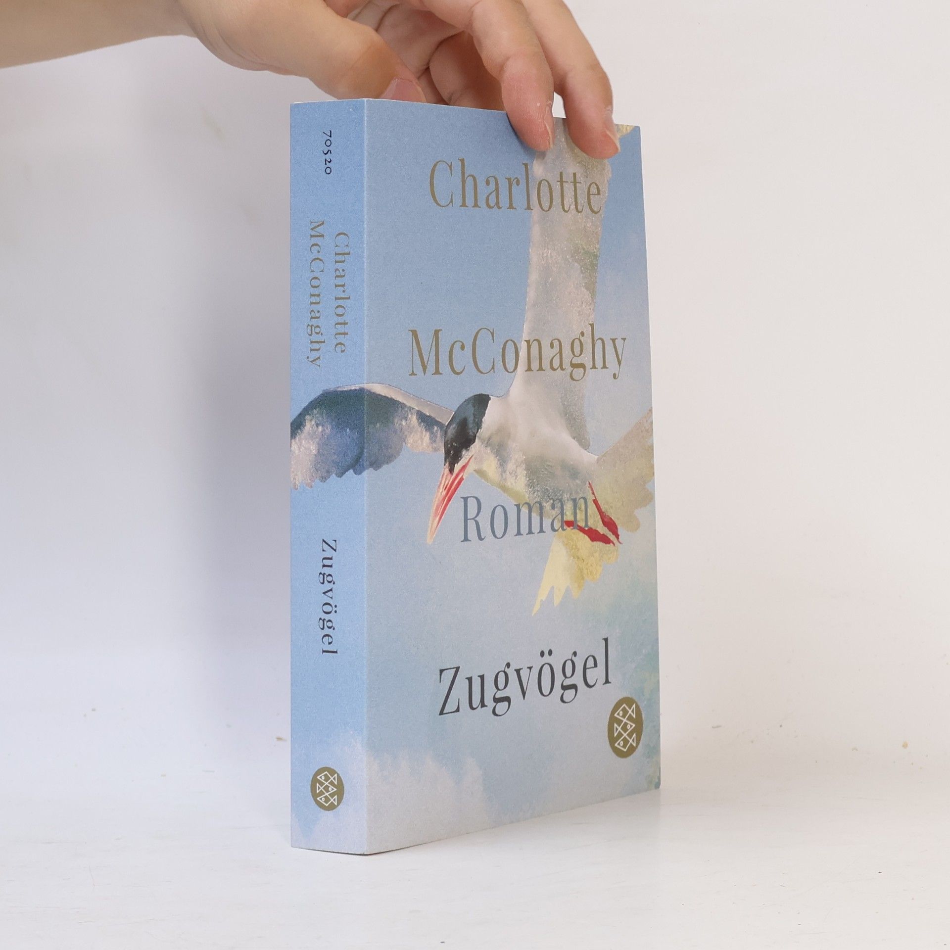 CHARLOTTE. MCCONAGHY Zugvögel
