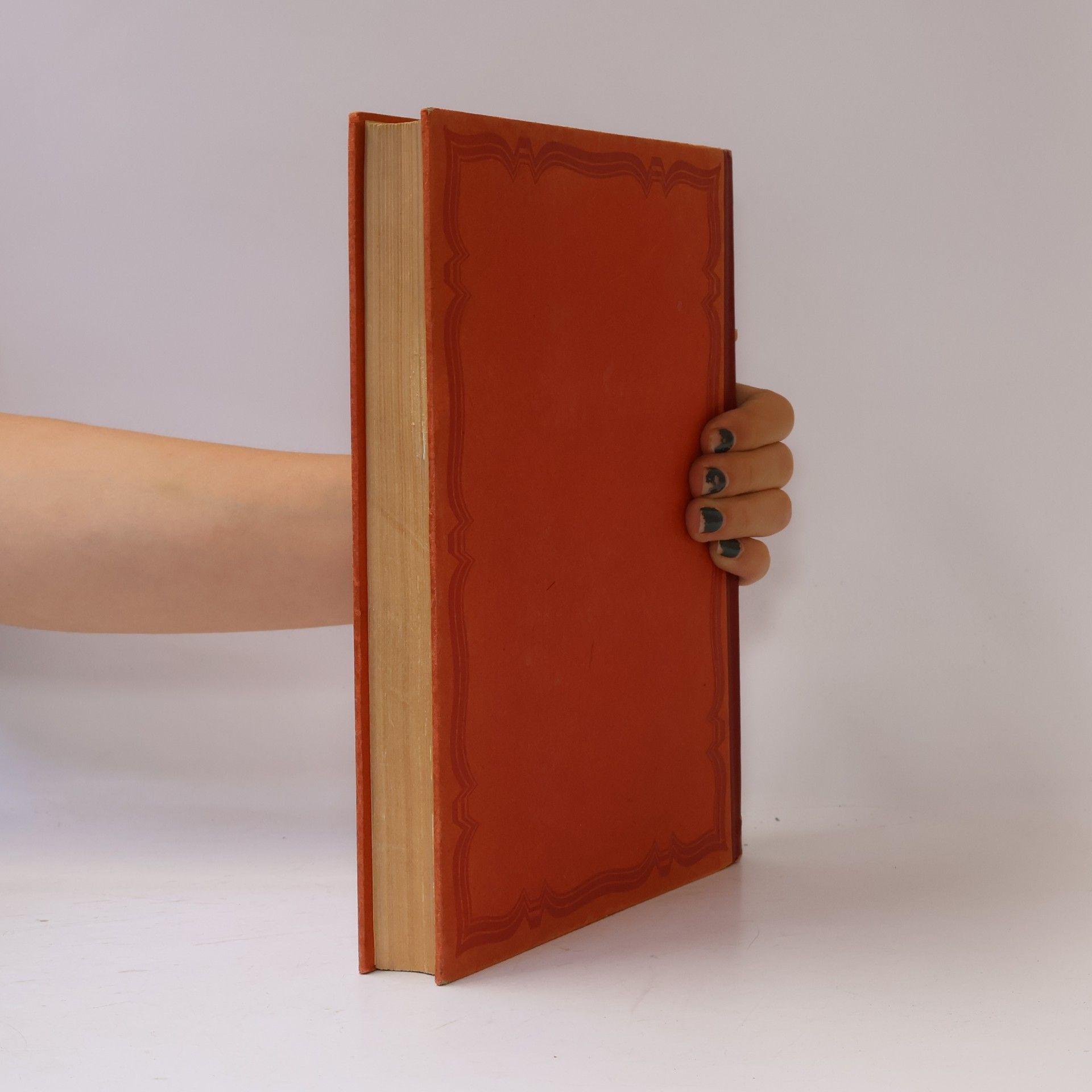 Various authors Klassiker der Kunst in Gesamtausgaben I. Raffael
