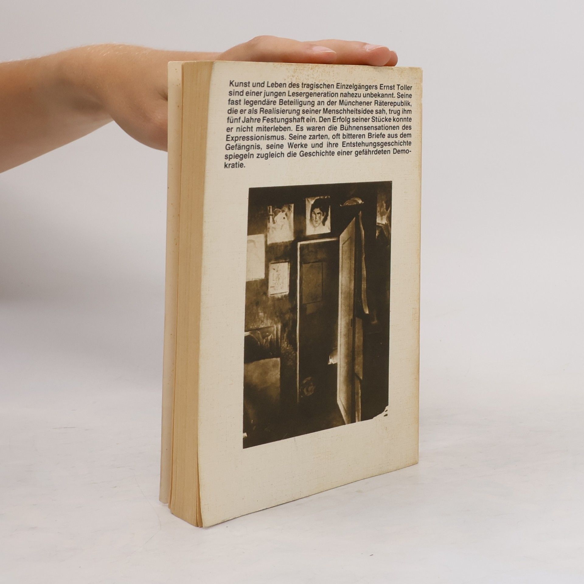 Ernst Toller Prosa, Briefe, Dramen, Gedichte