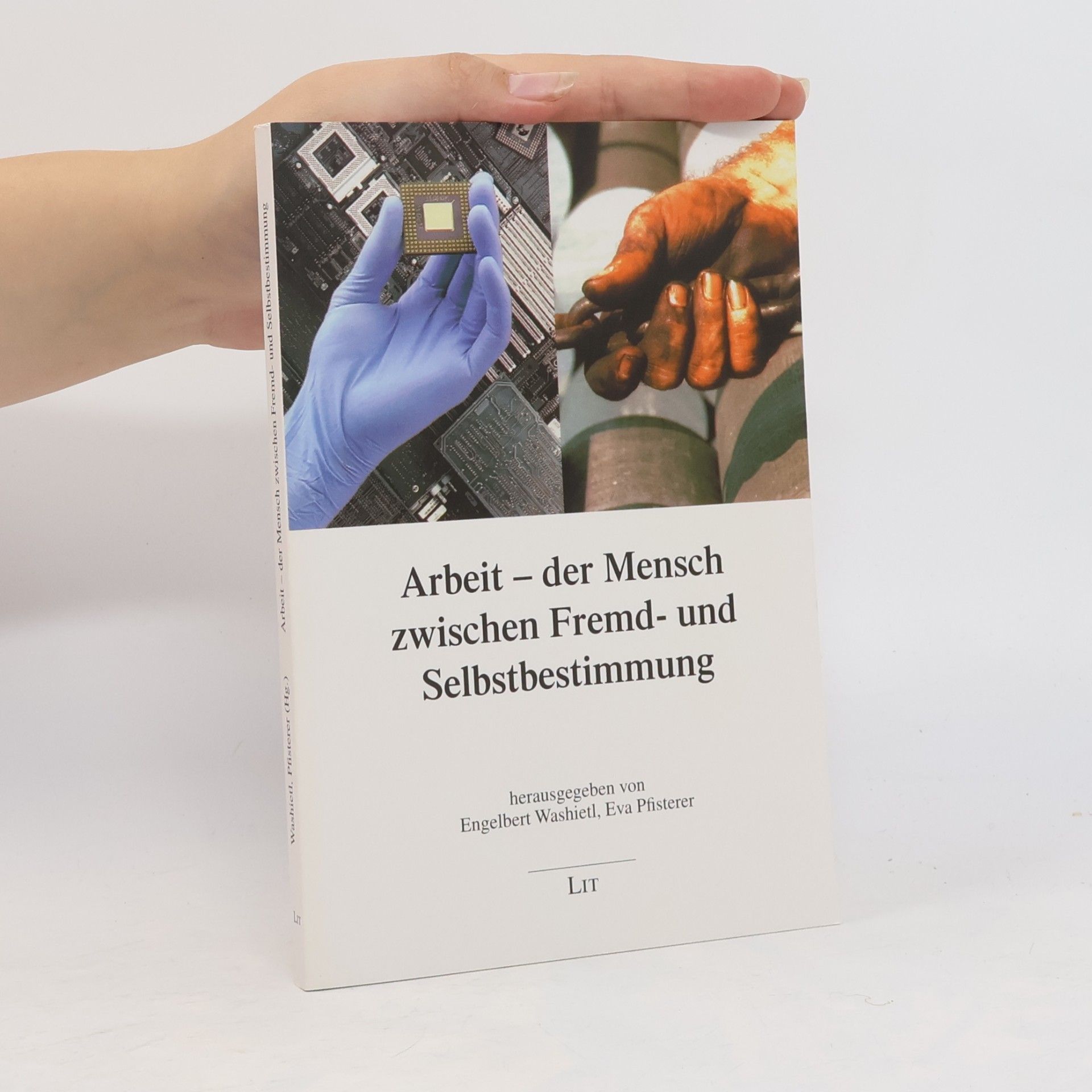 Eva Pfisterer Arbeit