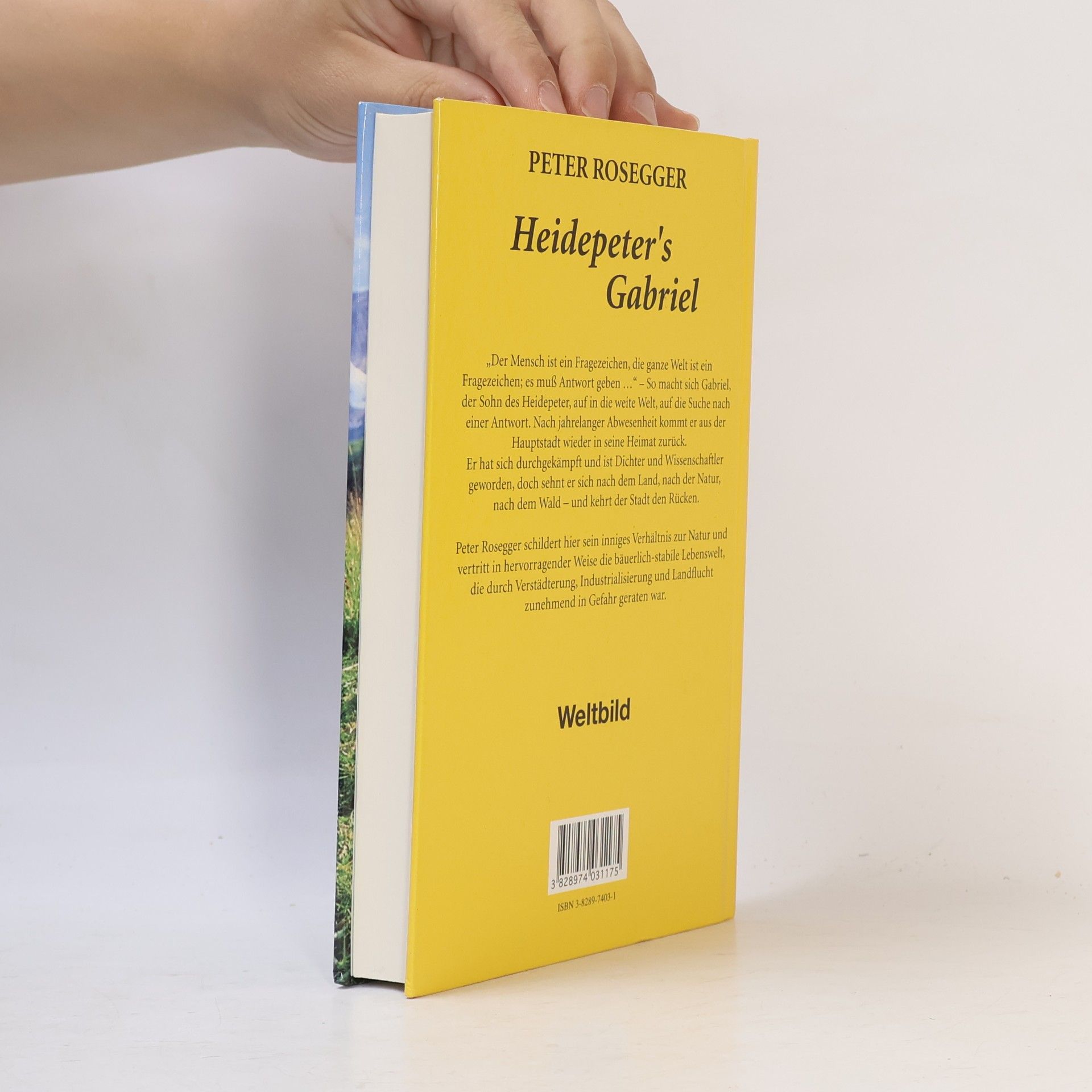 Peter Rosegger Die Schriften des Waldschulmeisters