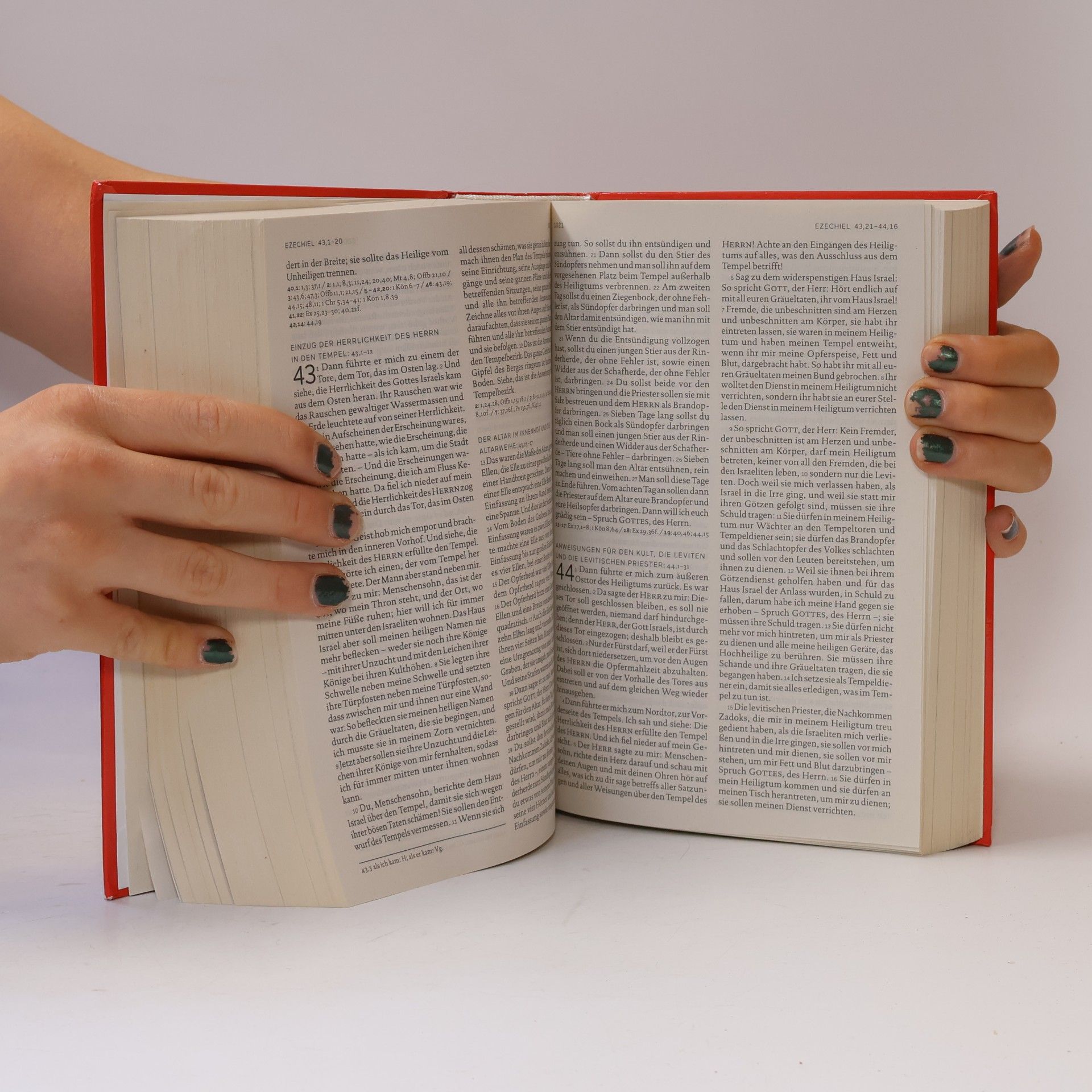 Various authors Die Bibel