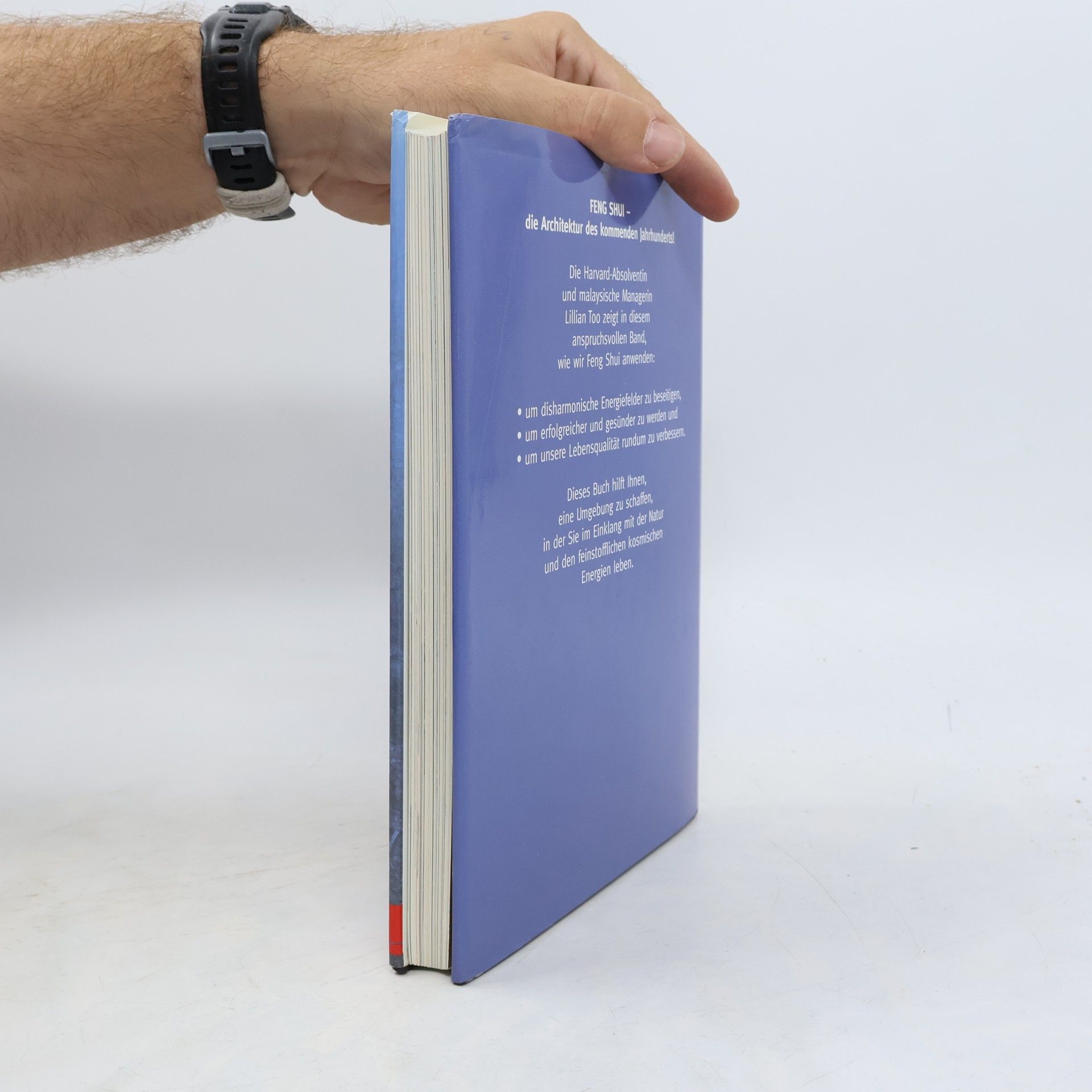 Lillian Too Das grosse Buch des Feng-Shui