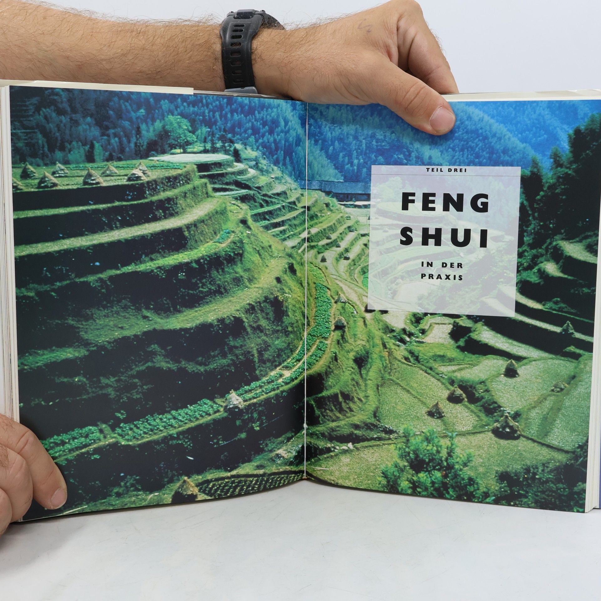 Lillian Too Das grosse Buch des Feng-Shui
