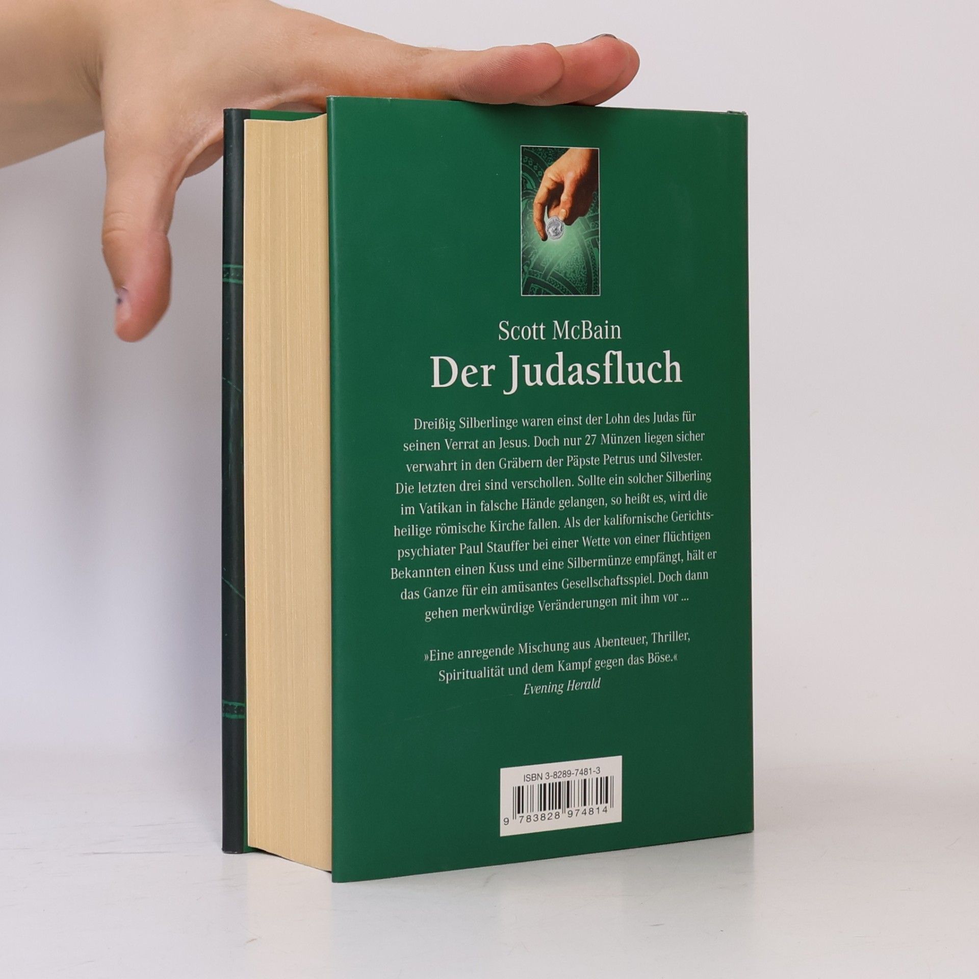 Scott McBain Der Judasfluch