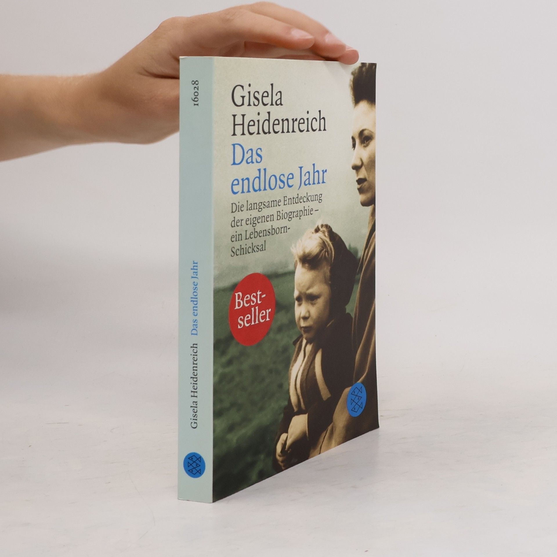 Gisela Heidenreich Das endlose Jahr