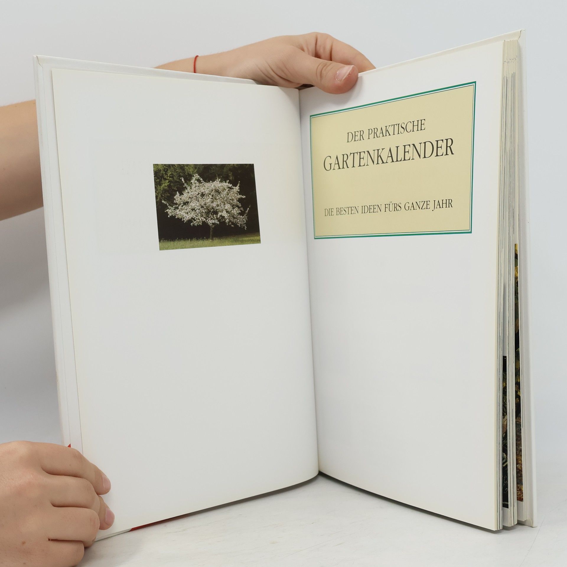 kolektiv Der praktische Gartenkalender. Die Beste Ideen fürs ganze Jahr