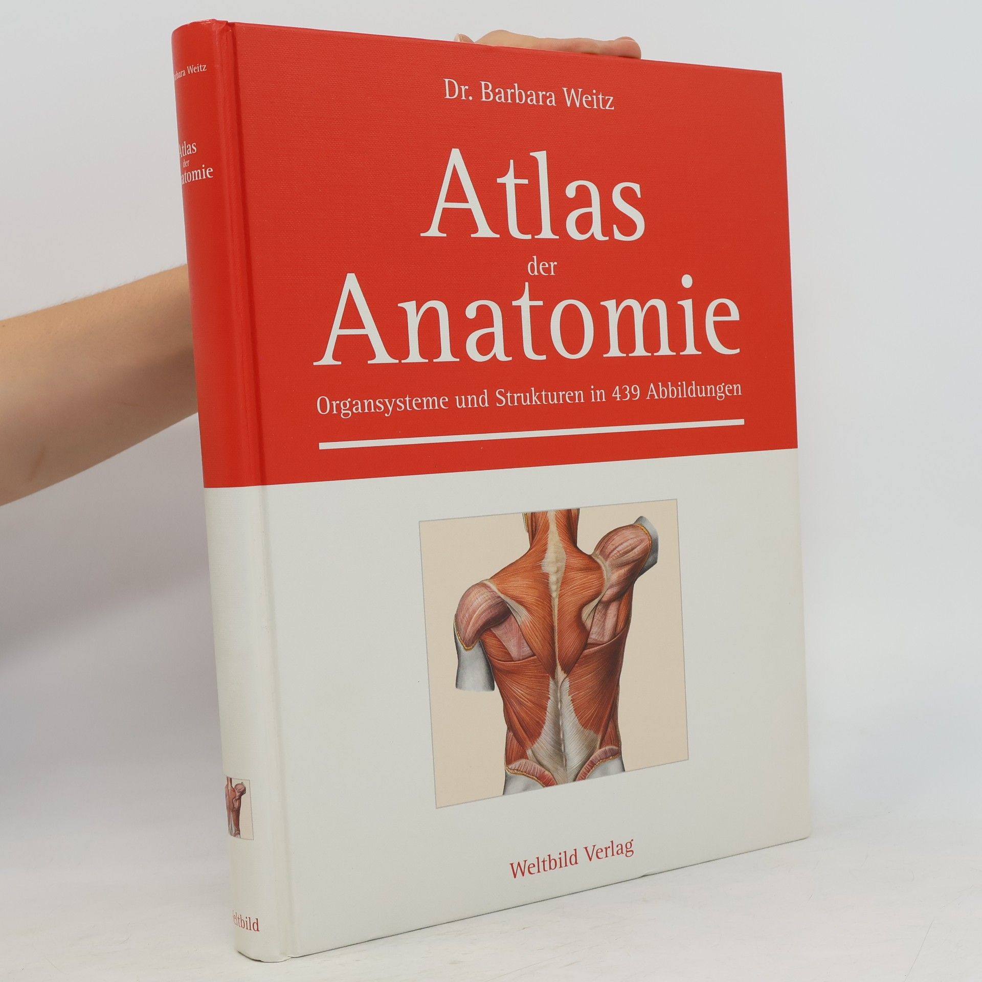 Barbara Weitz Atlas der Anatomie