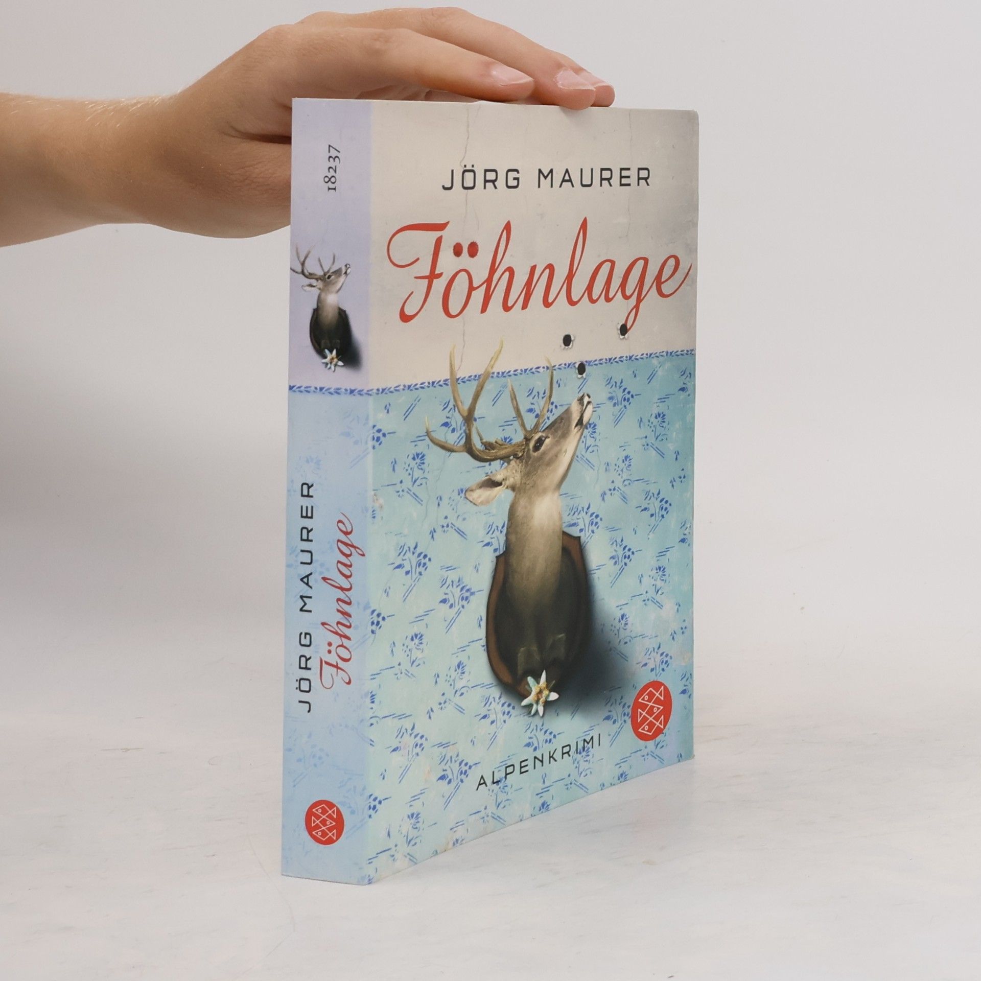 Jörg Maurer Föhnlage
