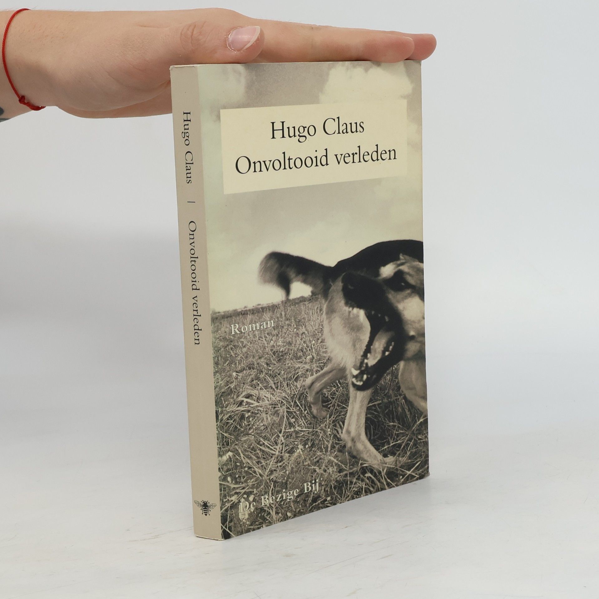 Hugo Claus Onvoltooid verleden