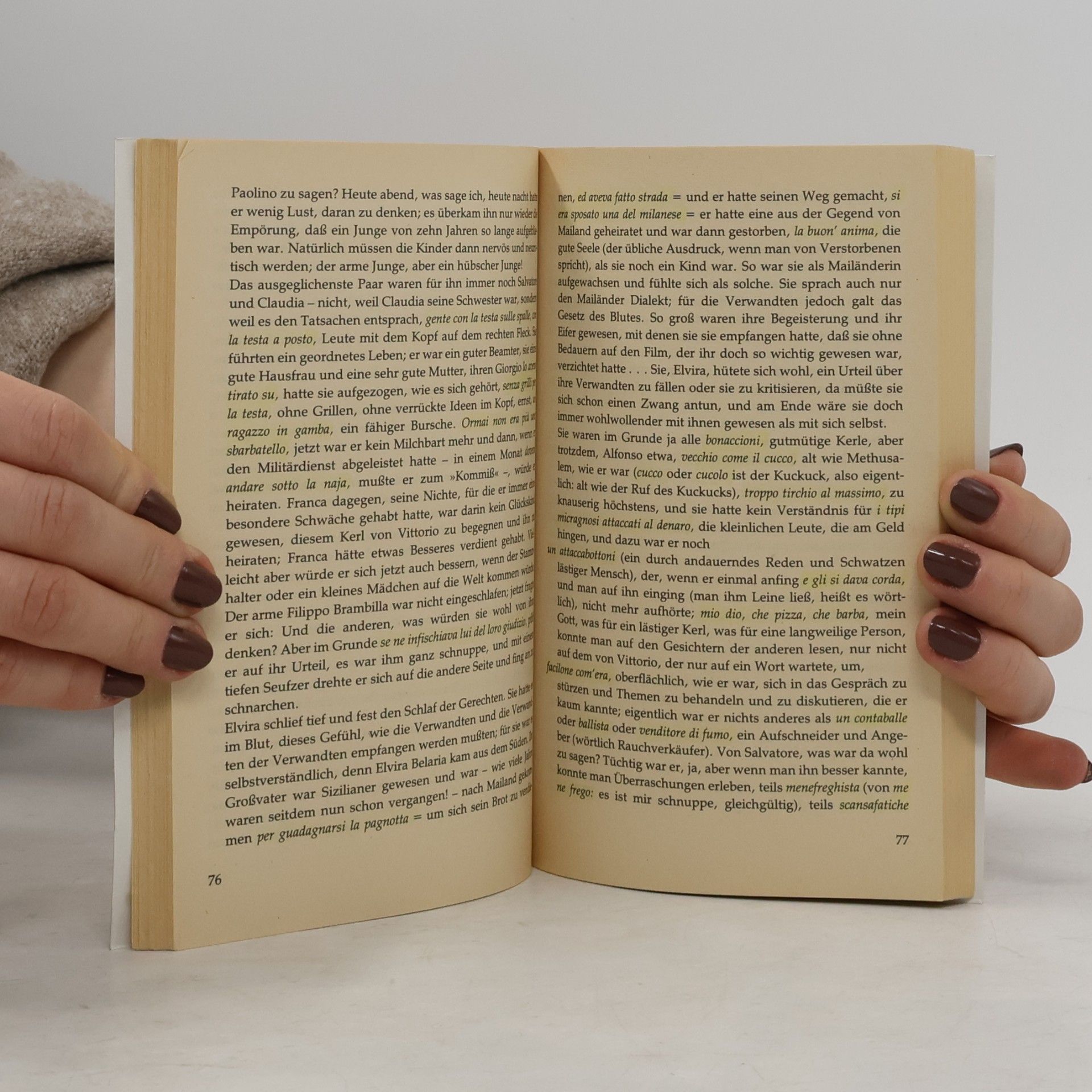 Gianni Selvani Italienisch wie es nicht im Wörterbuch steht