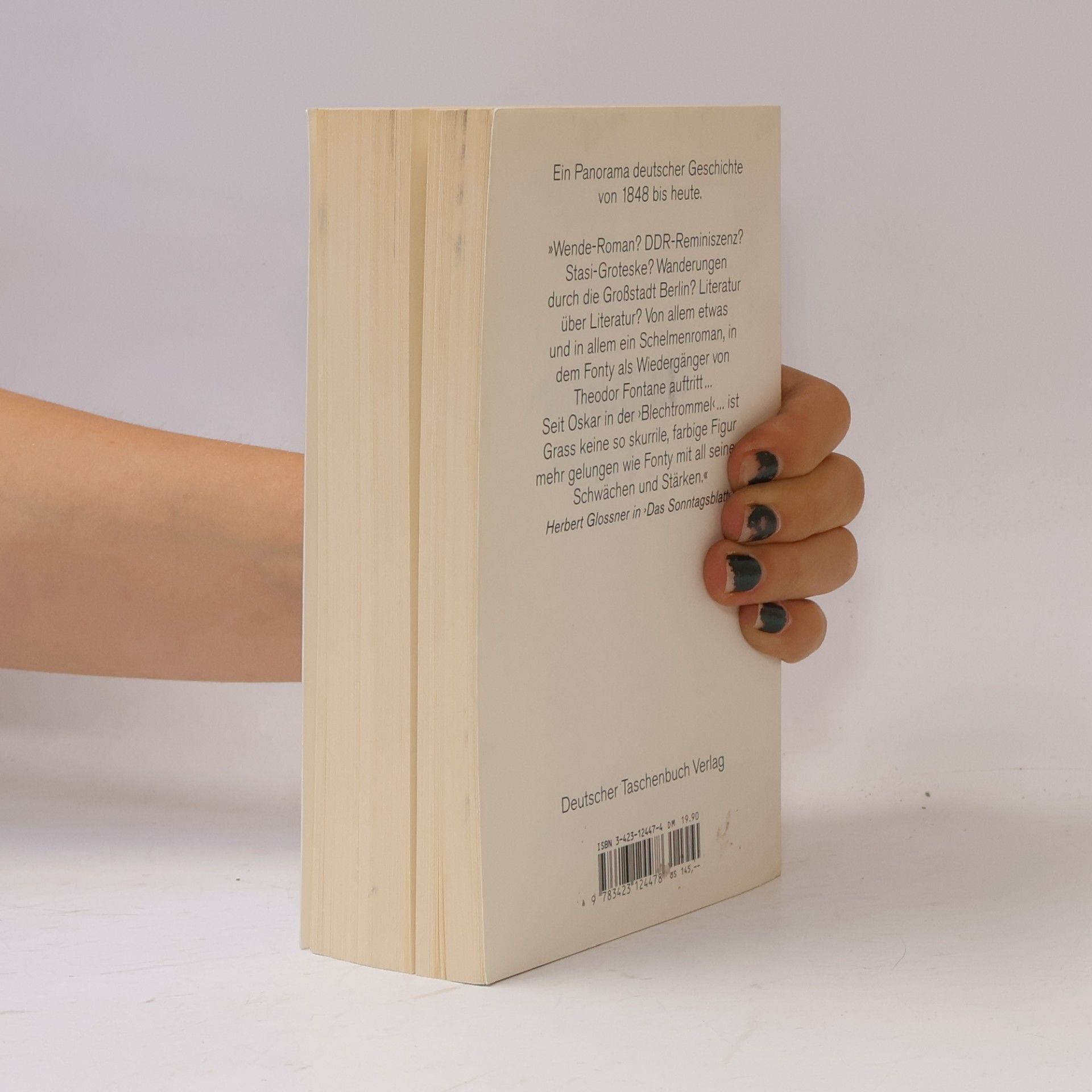 Günter Grass Ein weites Feld