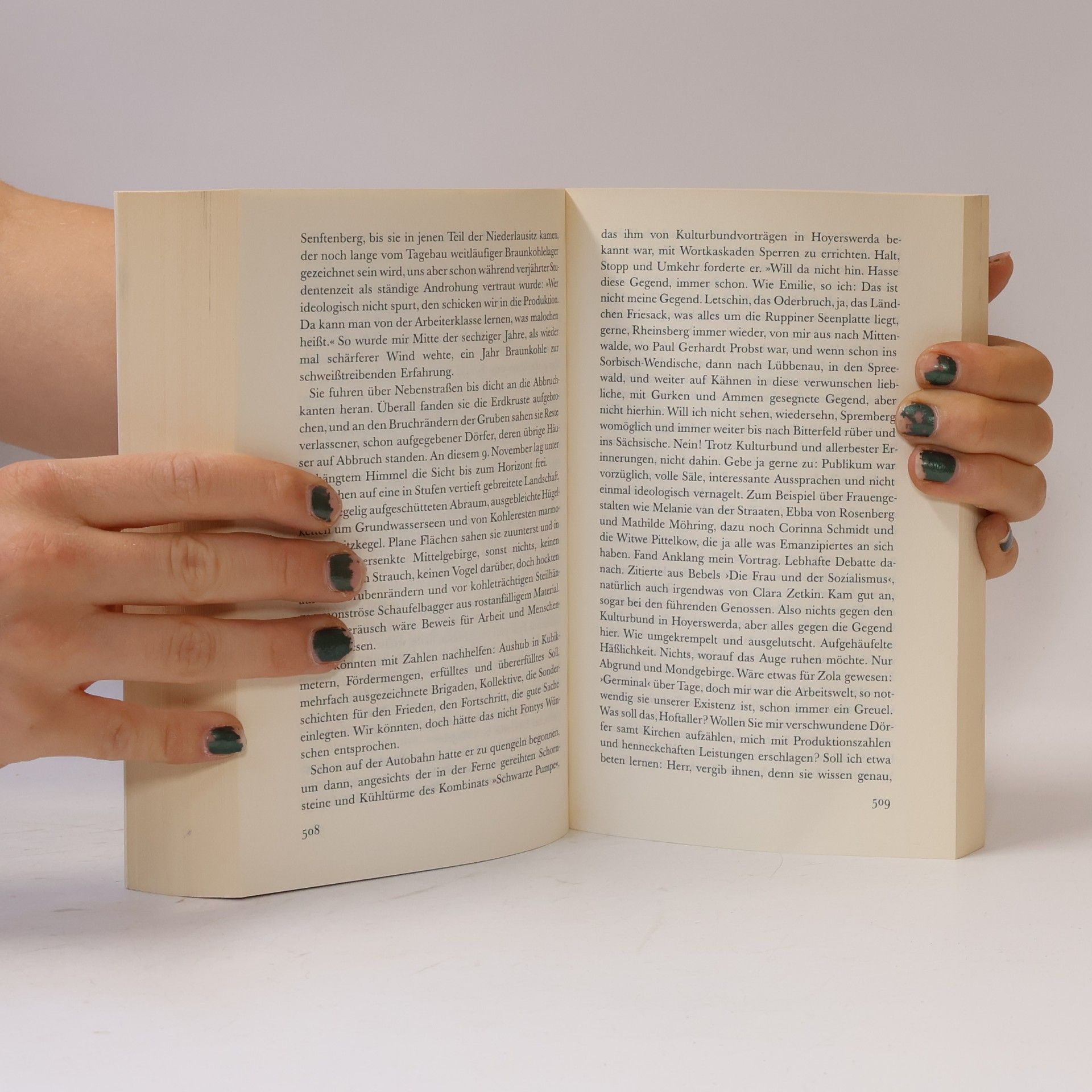 Günter Grass Ein weites Feld