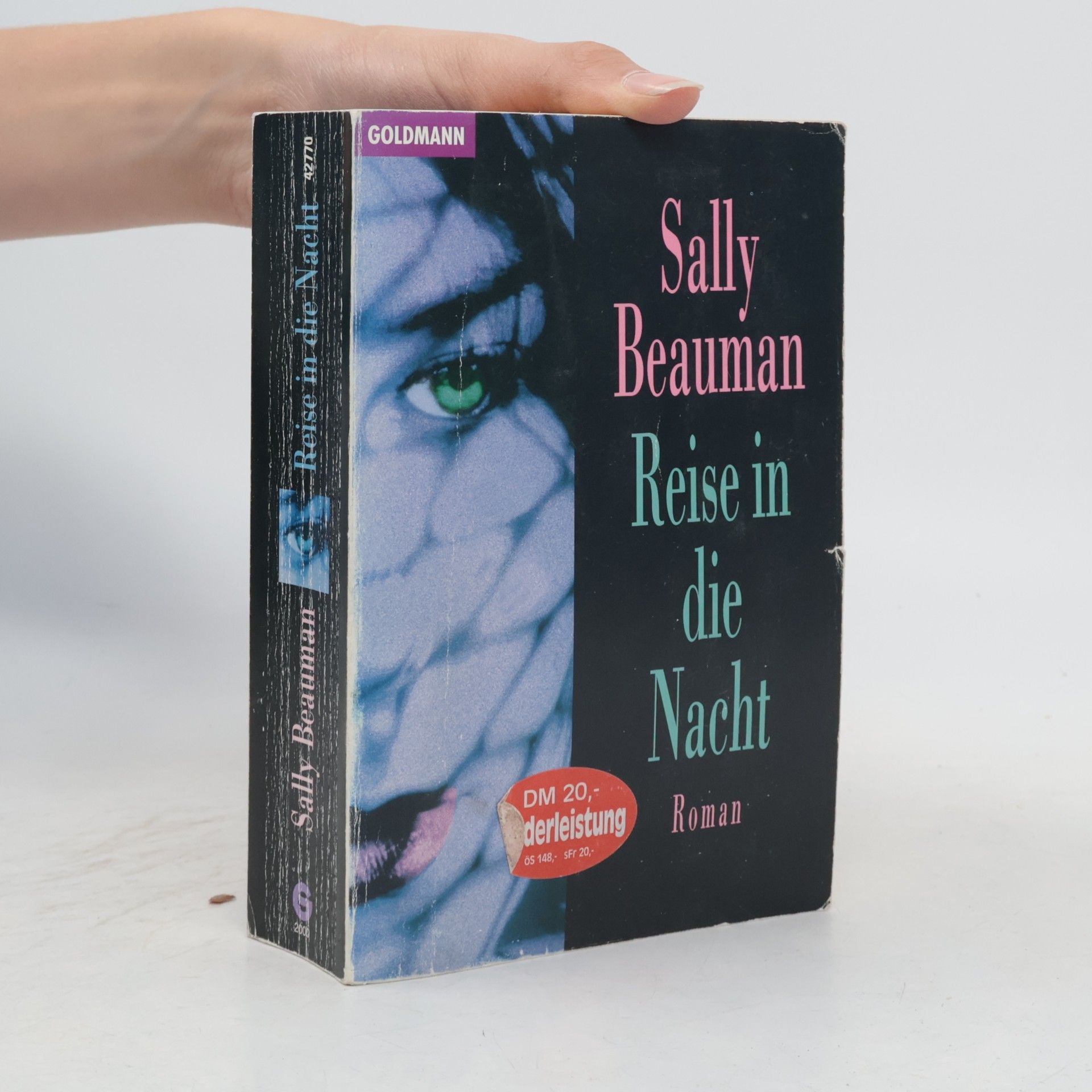 Sally Beauman Reise in die Nacht