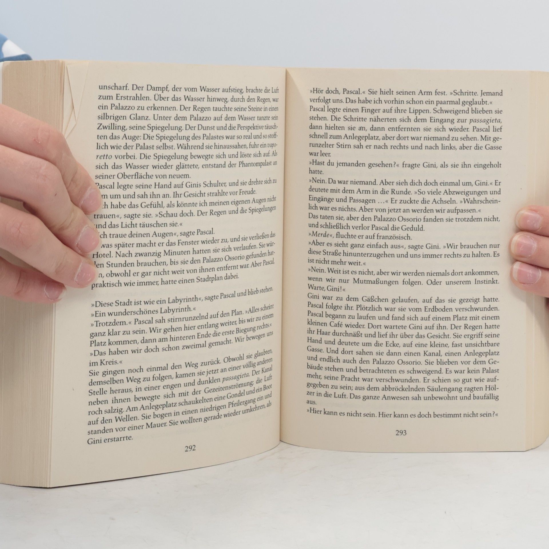 Sally Beauman Reise in die Nacht