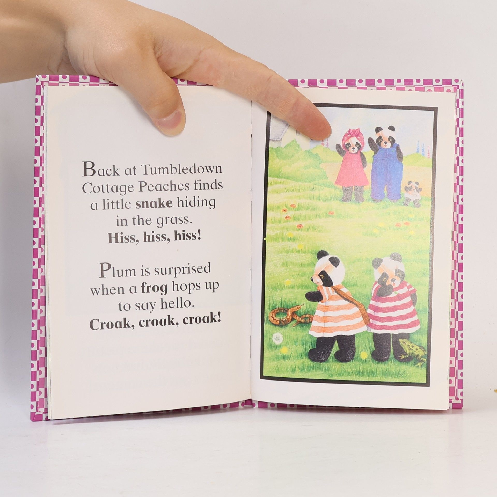 Claire Steeden The Jam Pandas First Book Of Animals