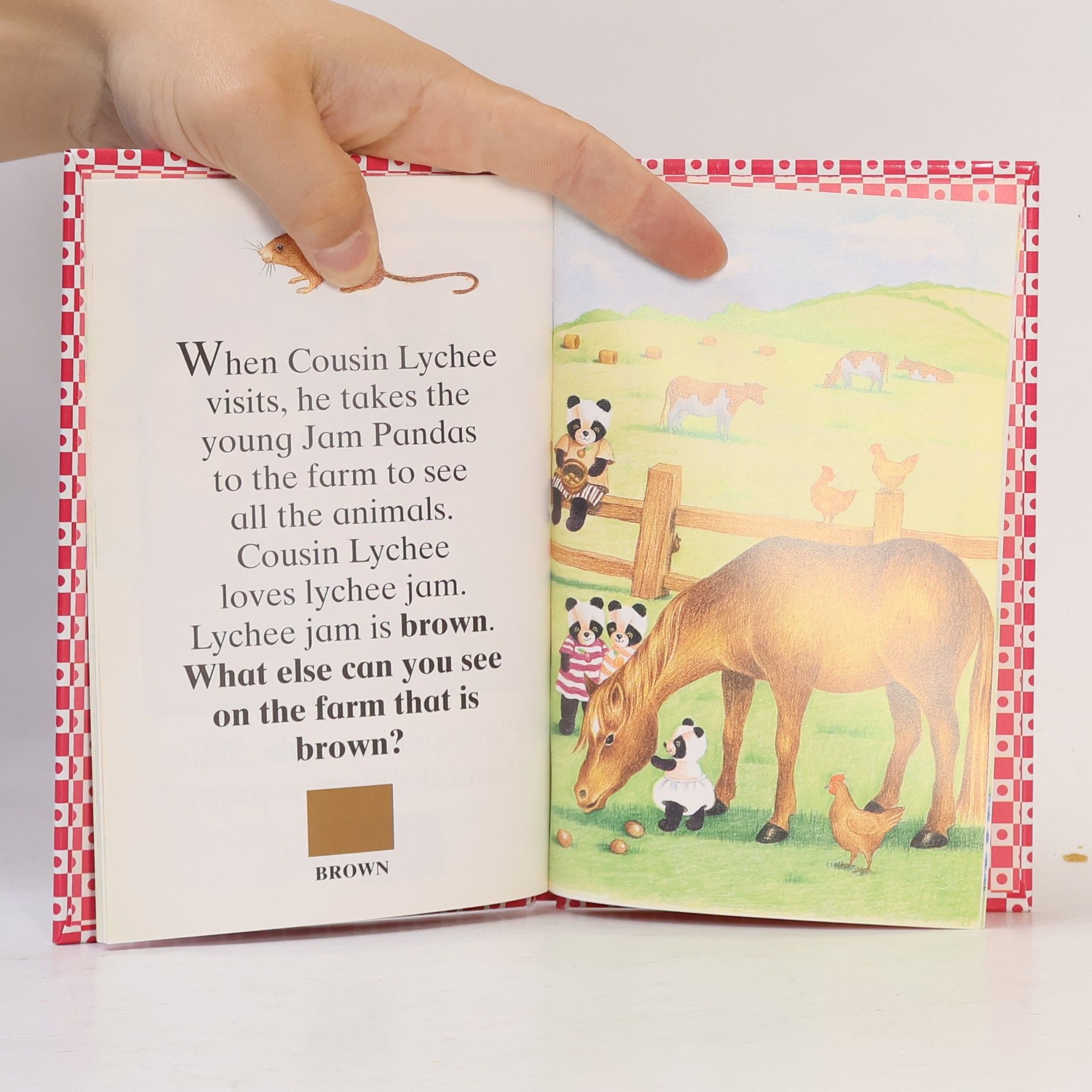 Parragon Jam Panda's First Book of Colours