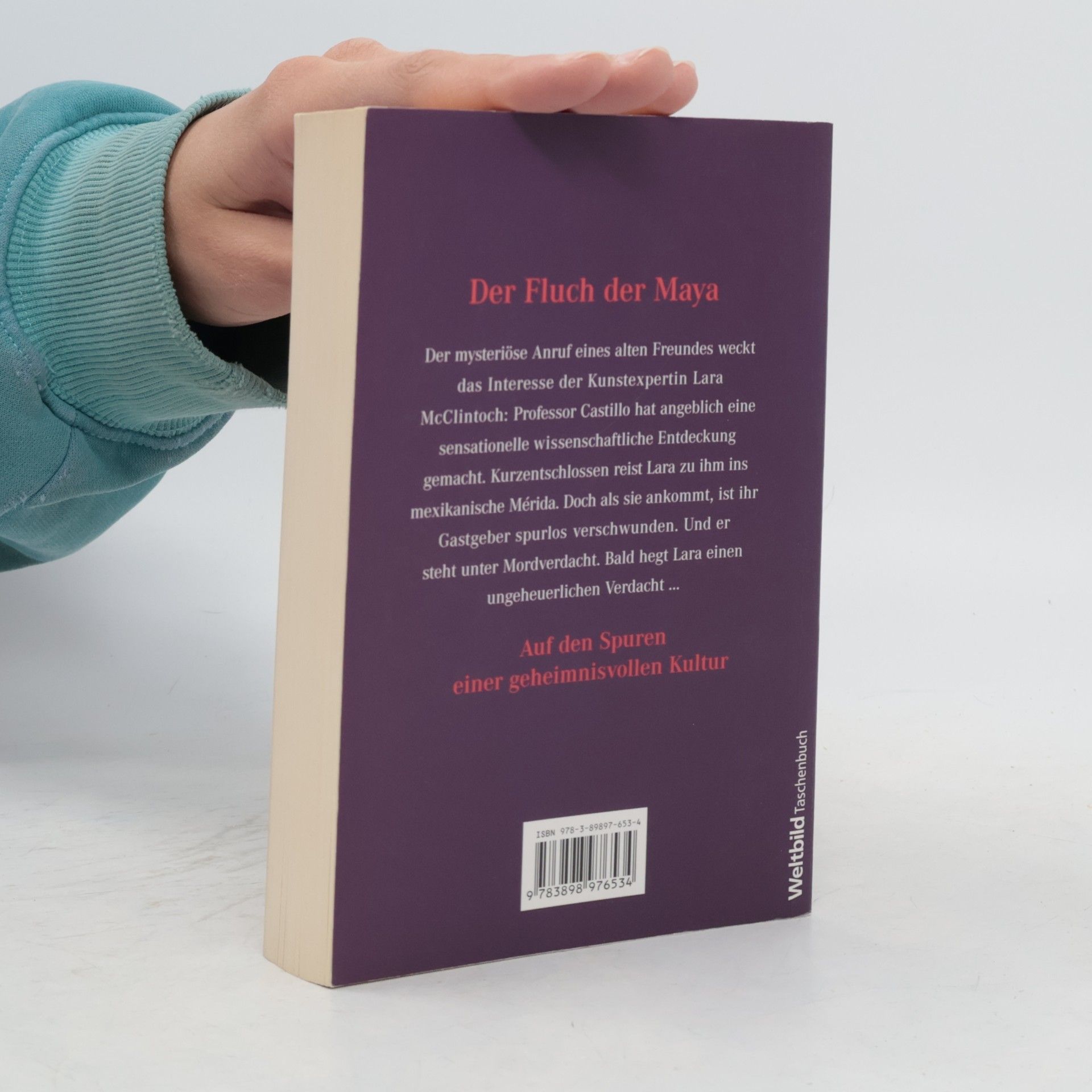 Lyn Hamilton Der Fluch der Maya
