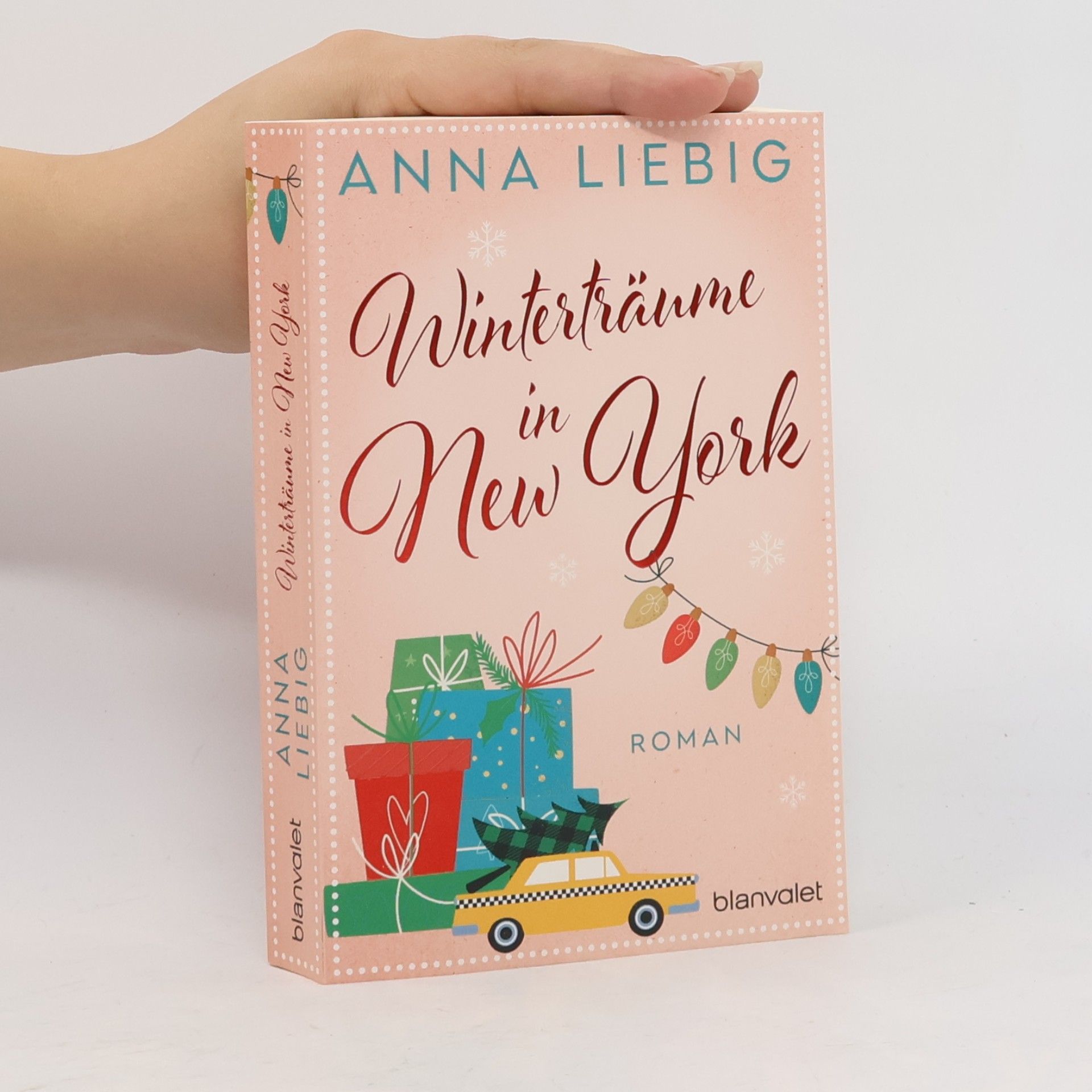 Anna Liebig Winterträume in New York