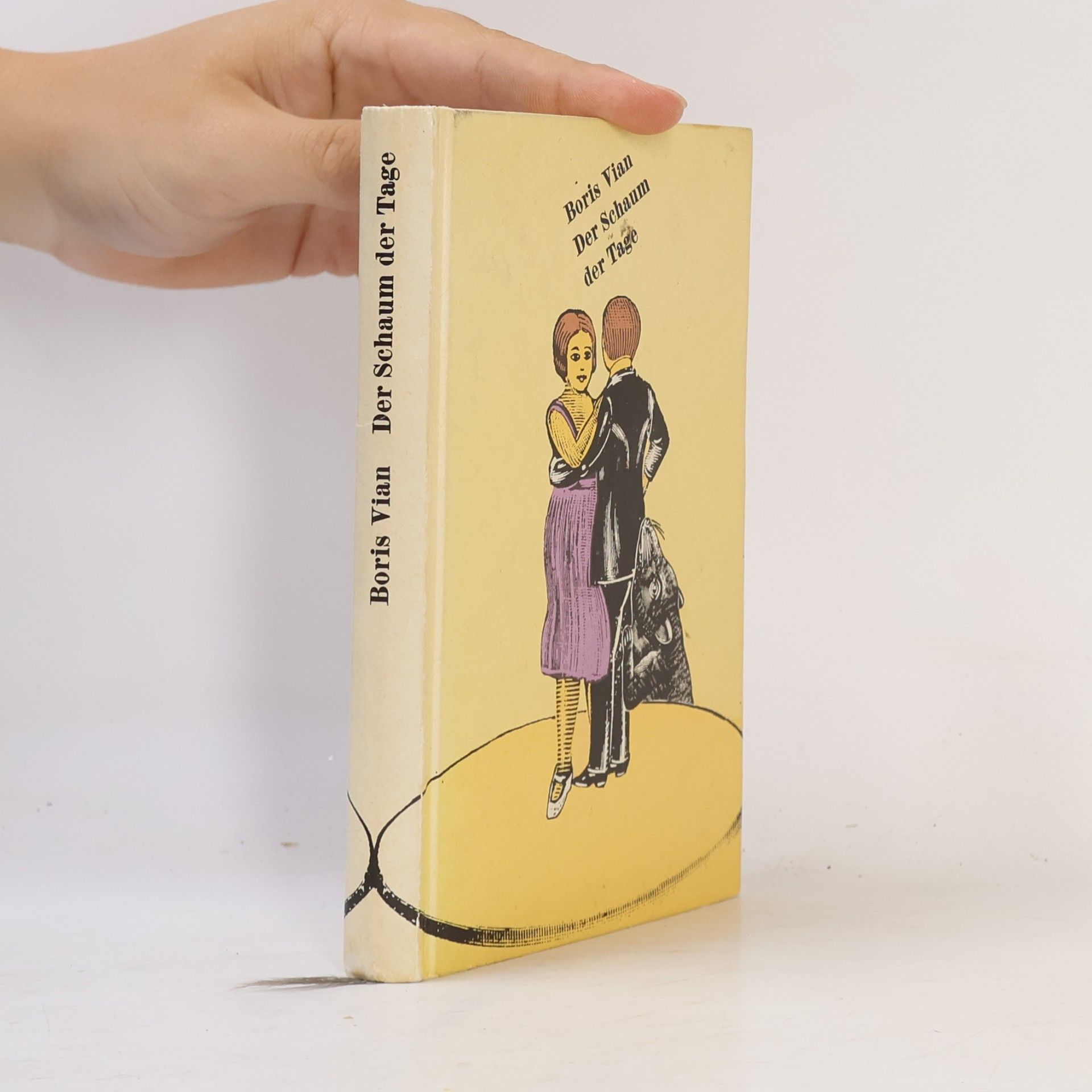 Boris Vian Der Schaum der Tage