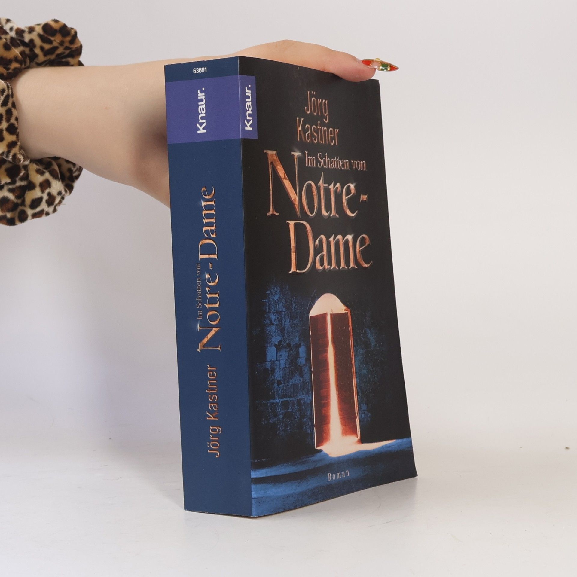 Jörg Kastner Im Schatten von Notre-Dame