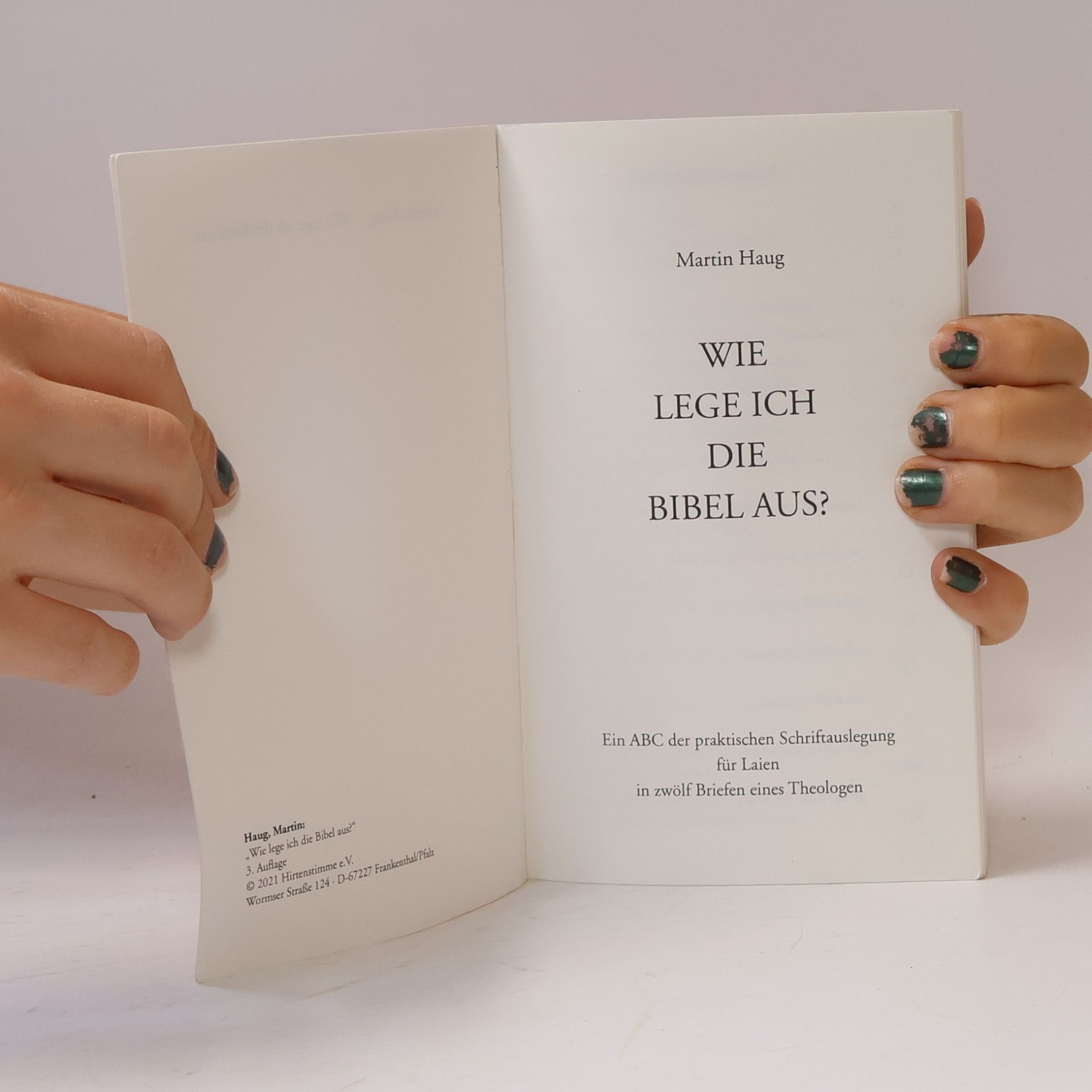 Martin Haug Wie lege ich die Bibel aus?
