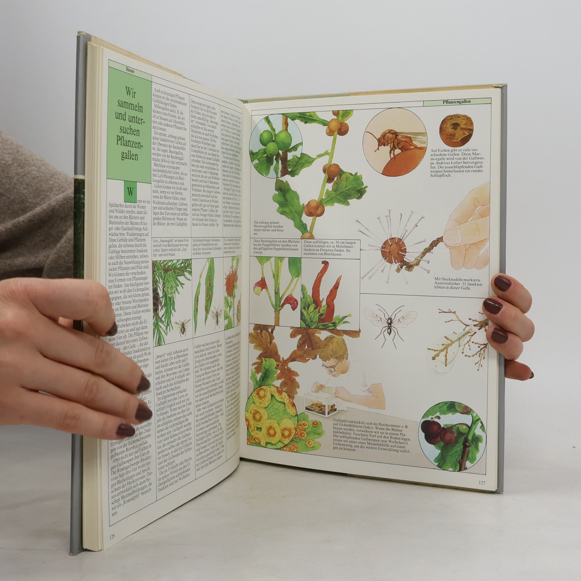 Michael Chinery Kosmos-Familienbuch der Natur