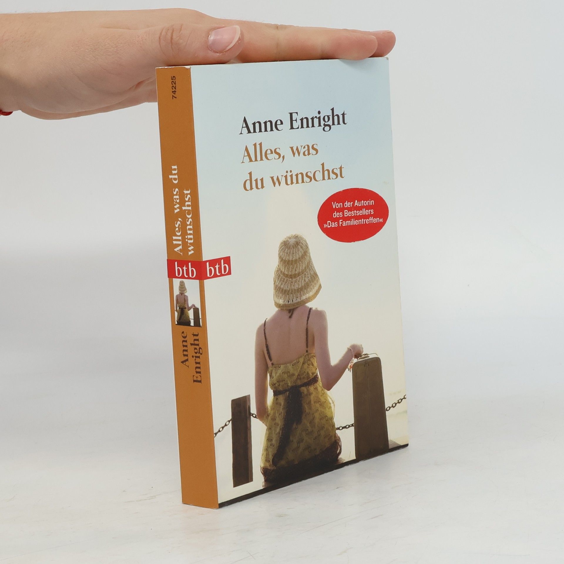 Anne Enright Alles, was du wünschst