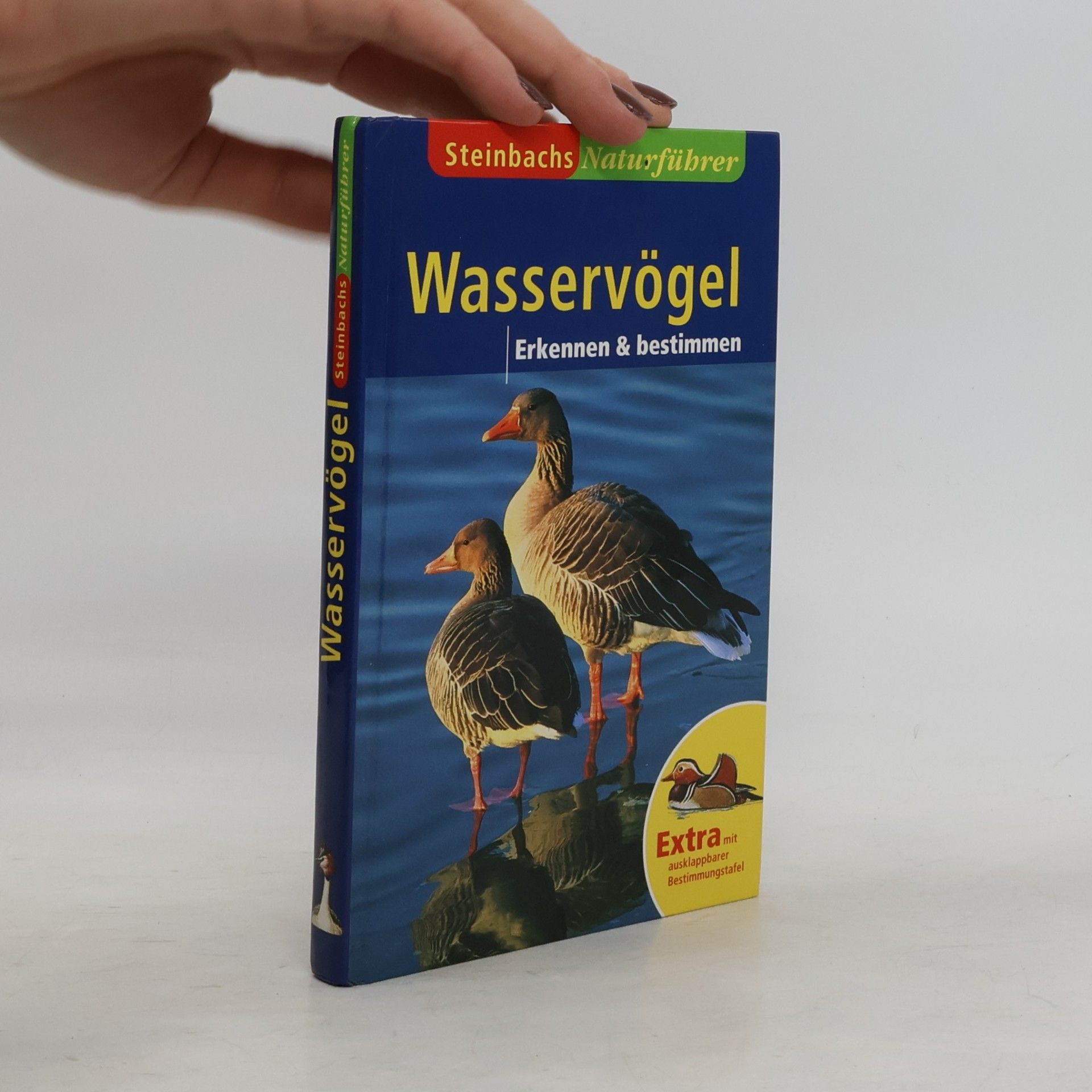 Autorenkollektiv Wasservögel