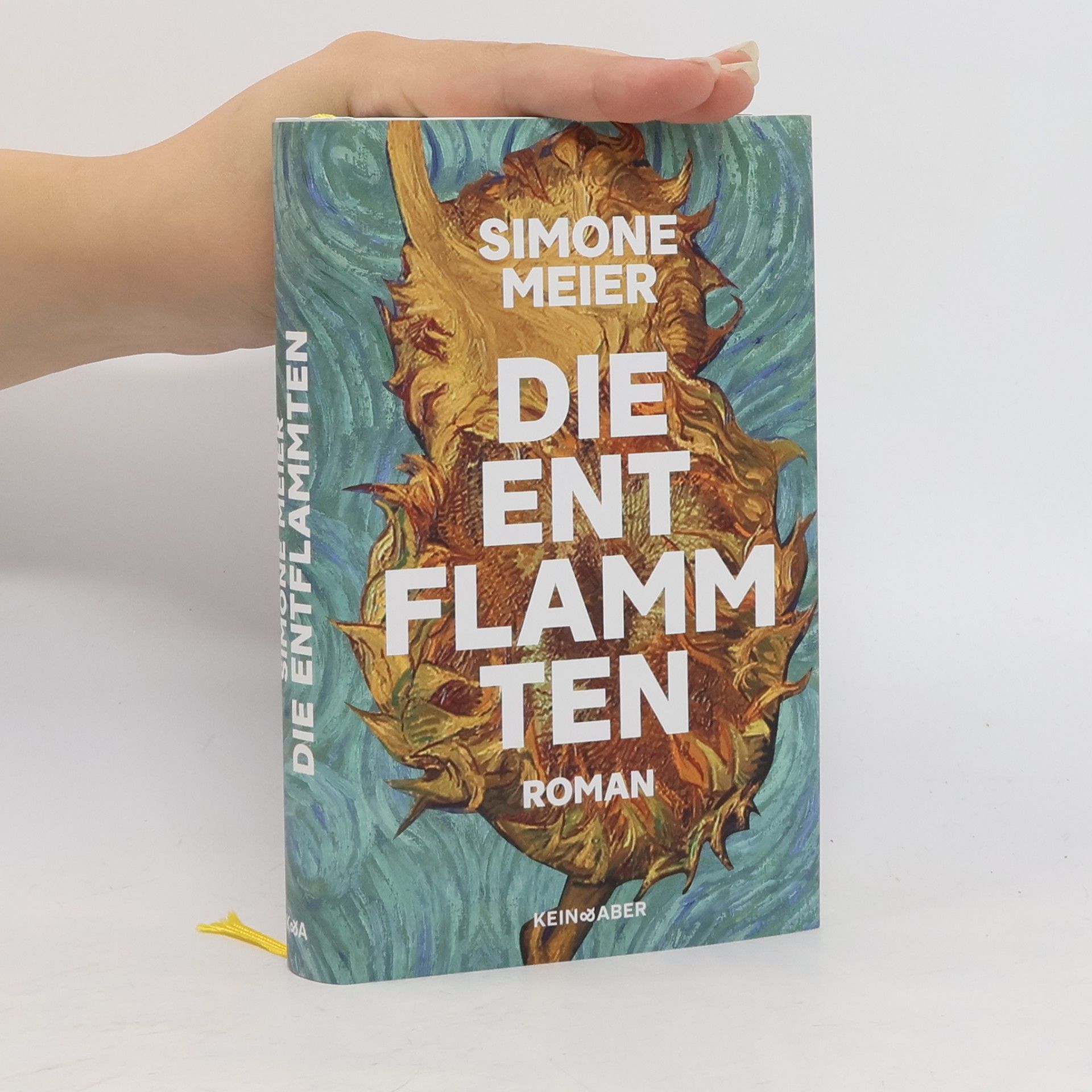 Simone Meier Fleisch