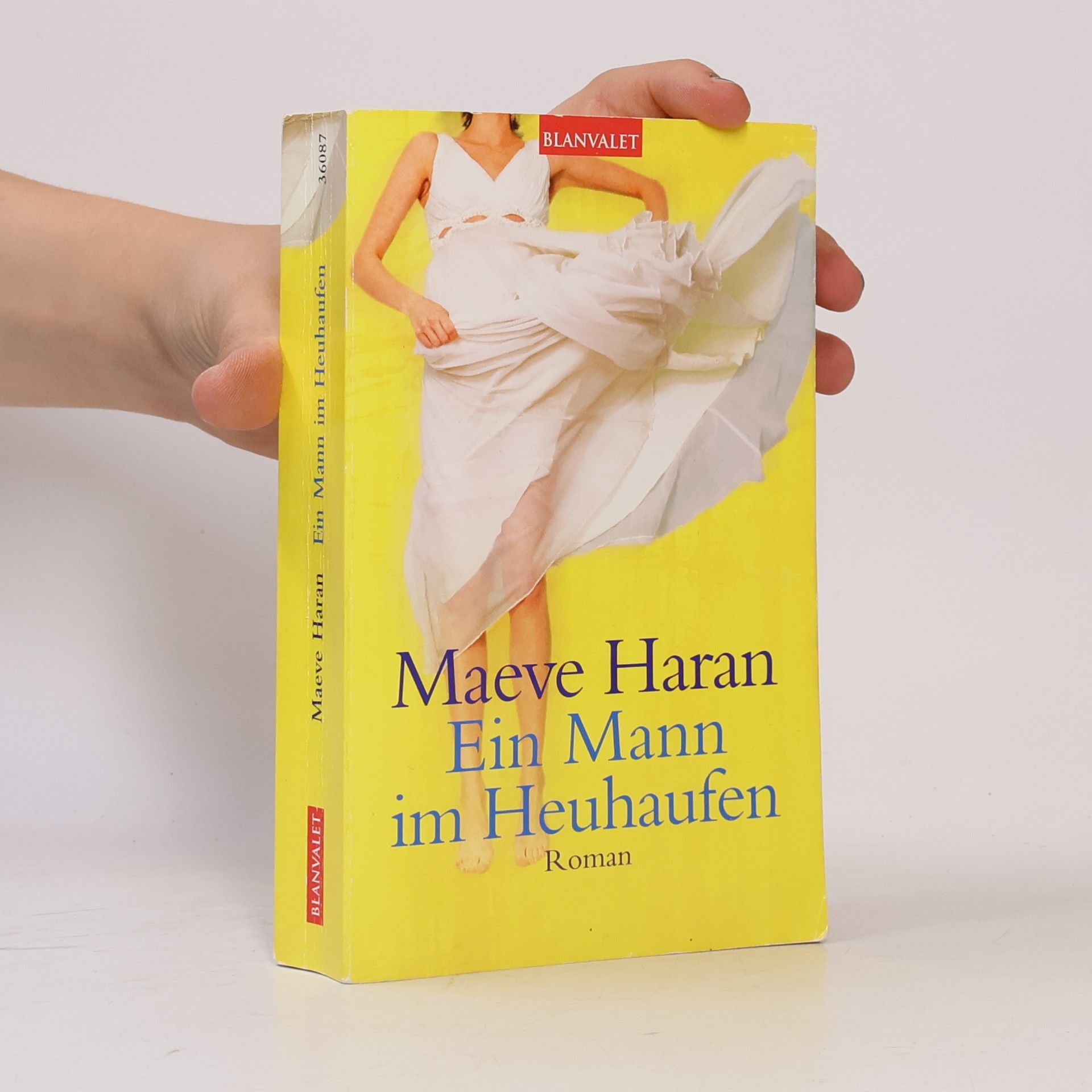 Maeve Haran Ein Mann im Heuhaufen