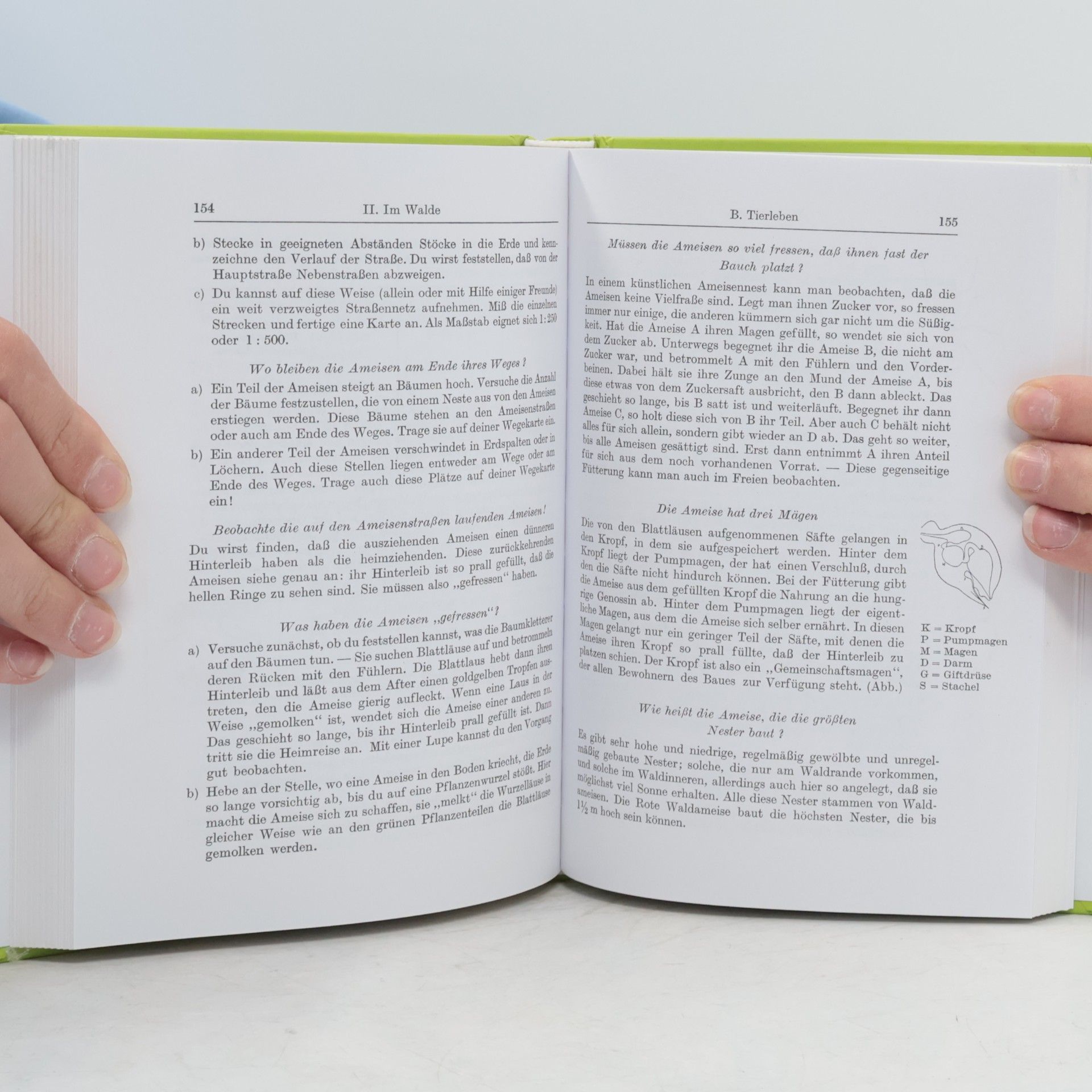 Kleines naturkundliches Wanderbuch