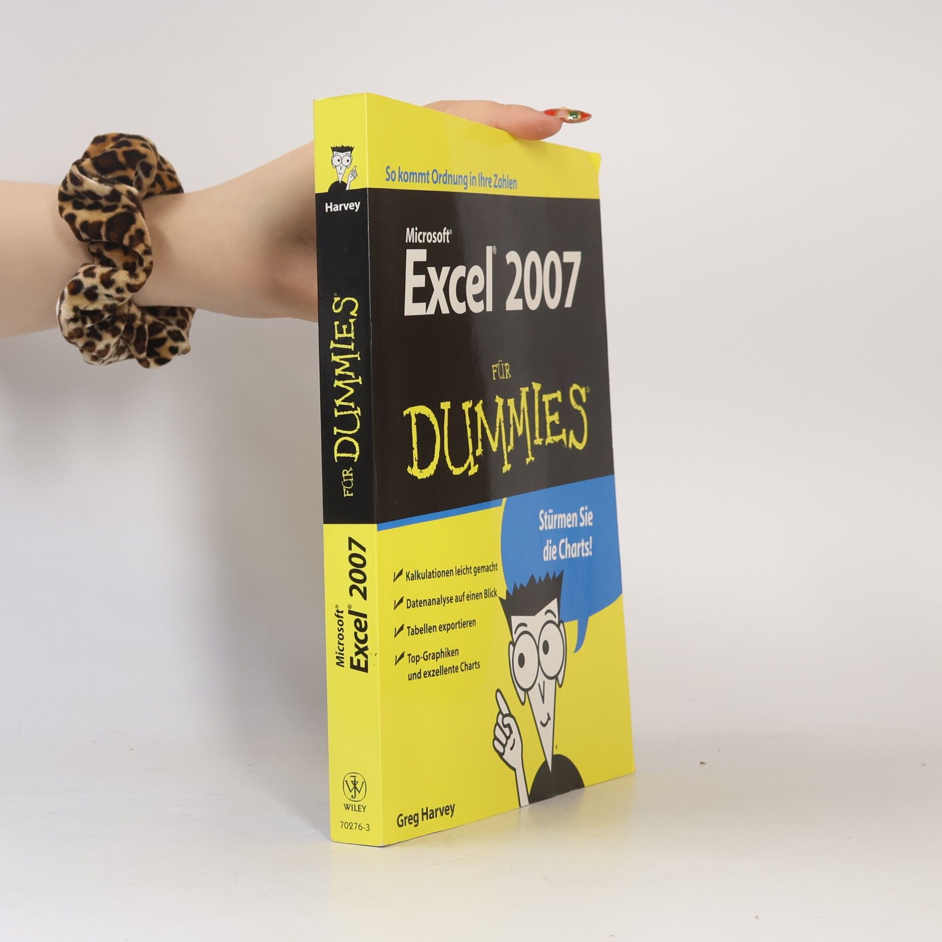 Greg Harvey Excel 2007 für Dummies
