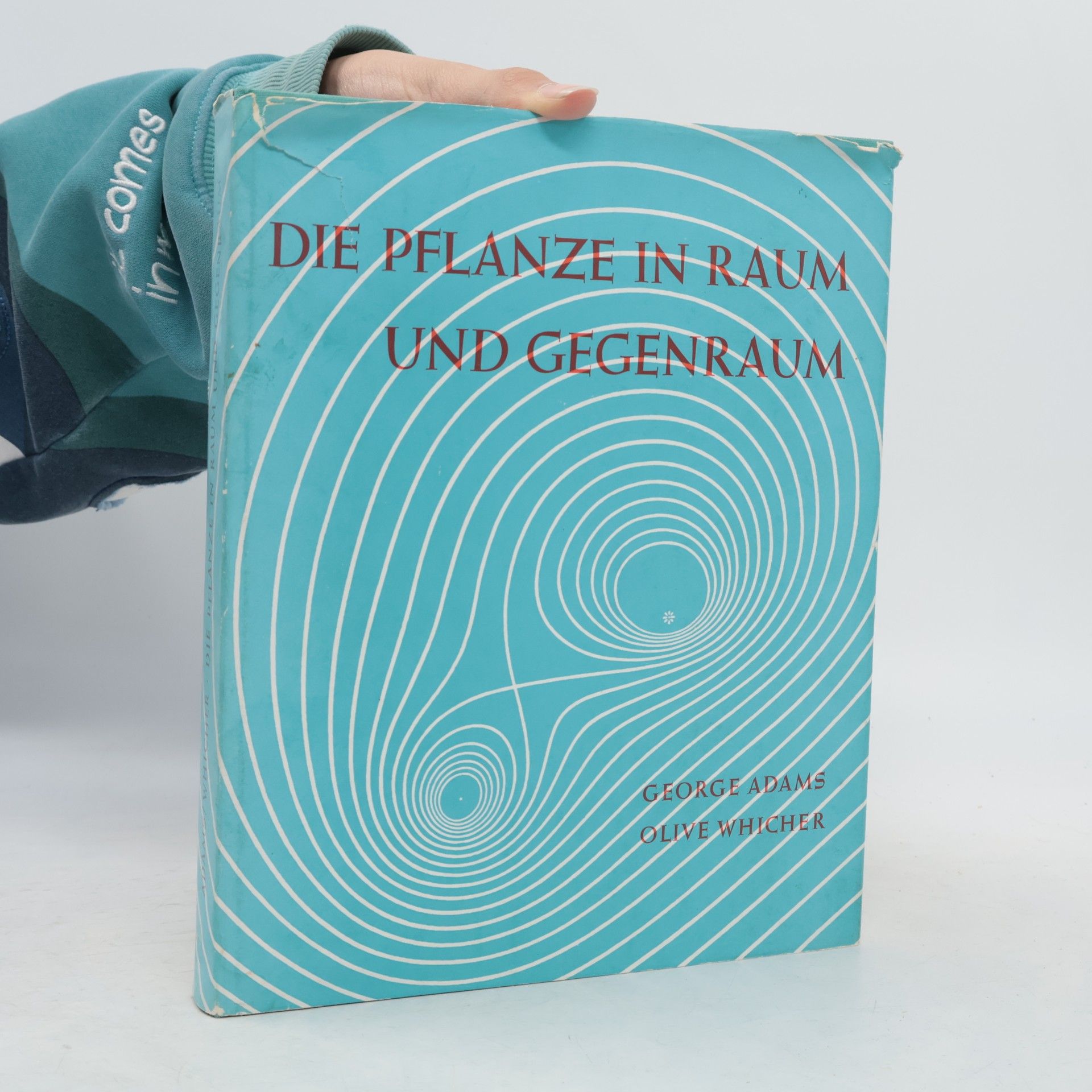 Die Pflanze i nRaum und Gegenraum