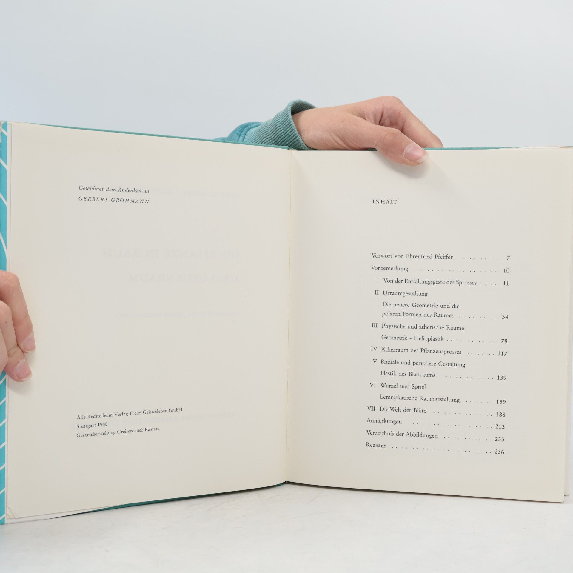 George Adams Die Pflanze i nRaum und Gegenraum