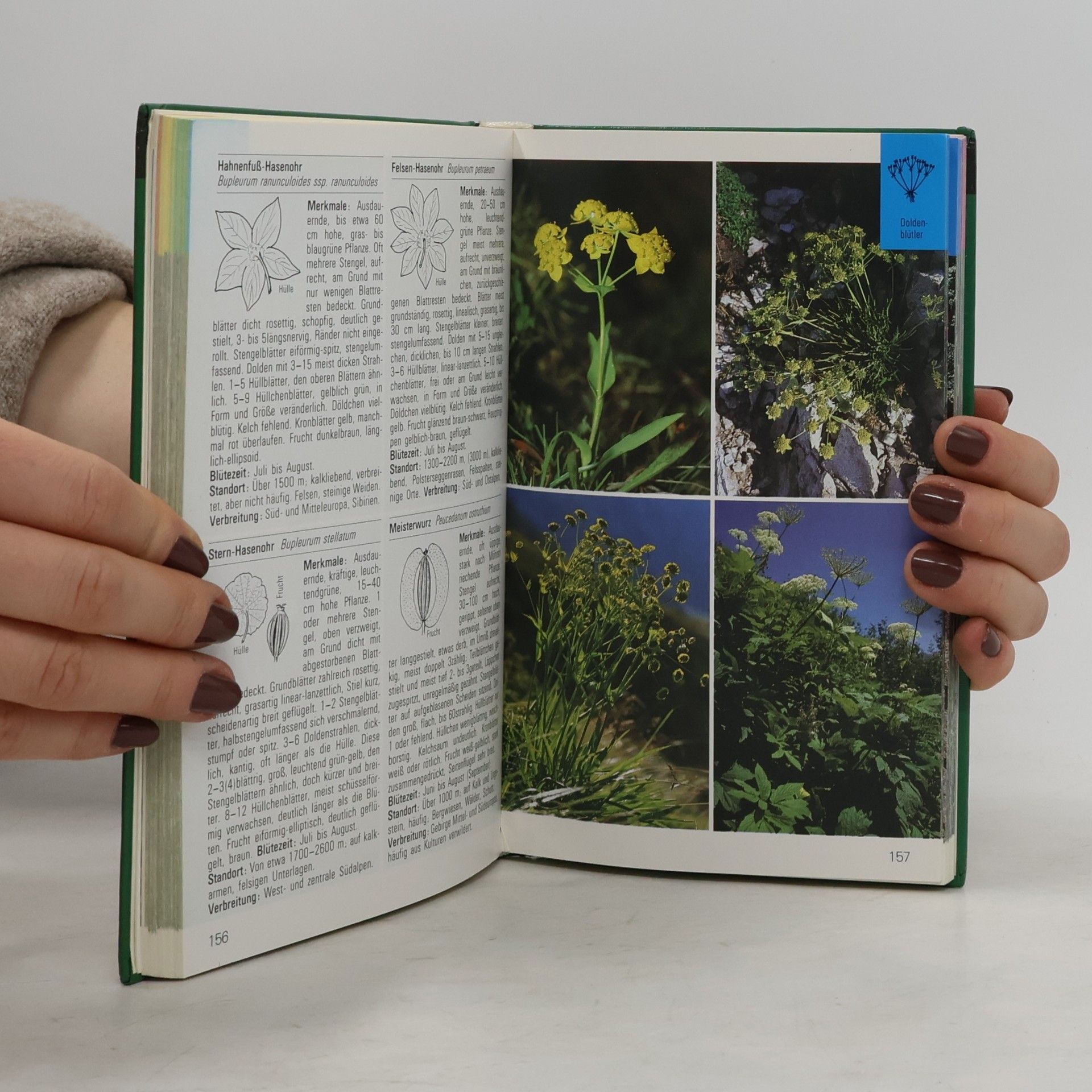 Kolektiv autorů Alpenblumen