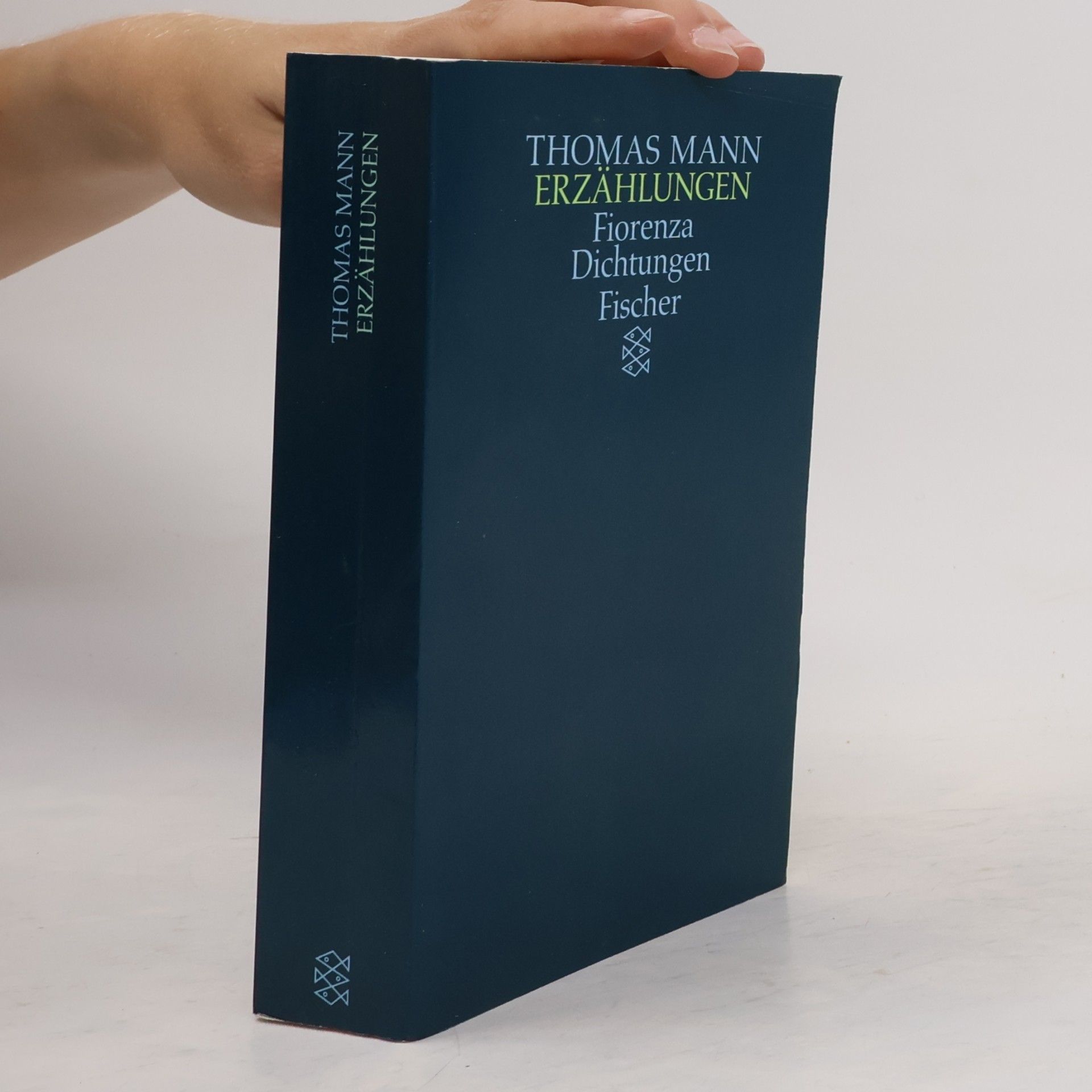 Thomas Mann Erzählungen