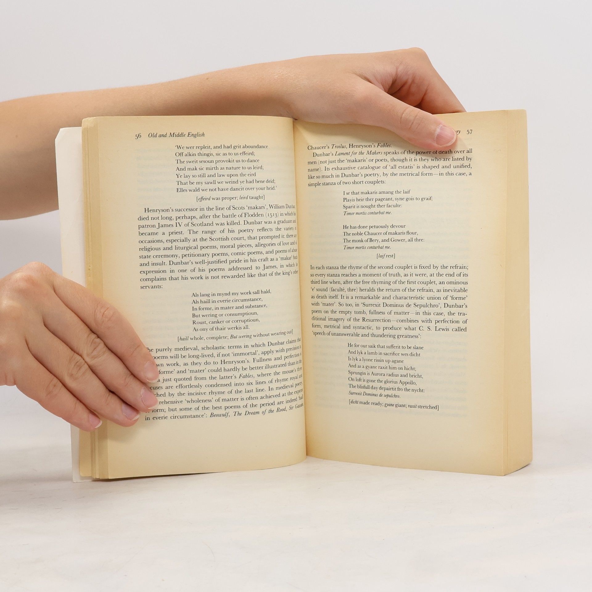 Pat Rogers An Outline of English Literature